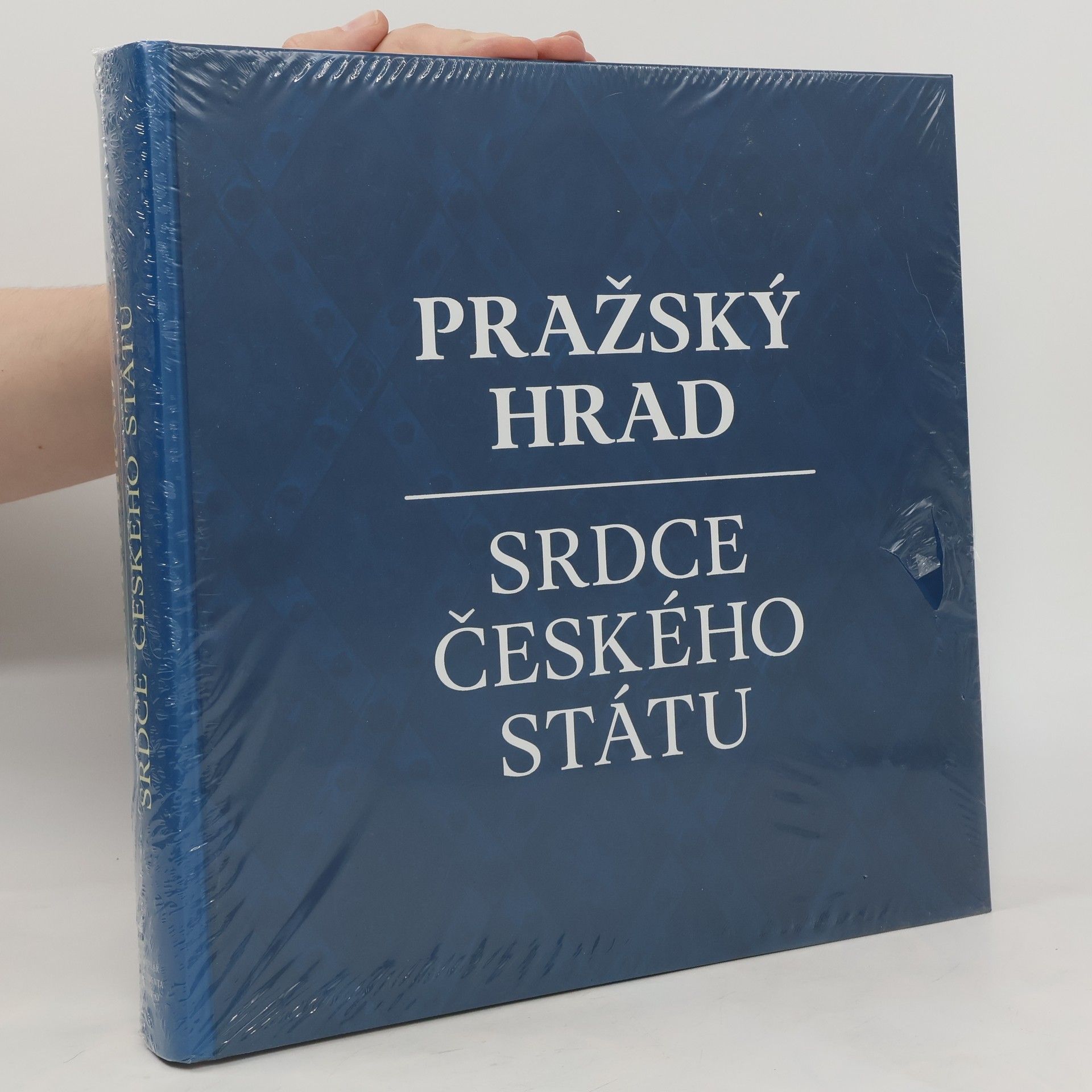 Auteurscollectief Pražský hrad: srdce českého státu