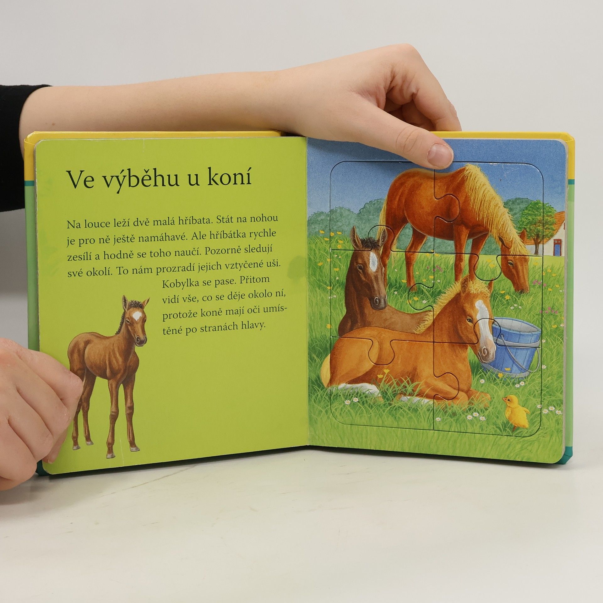 Autores varios Knížka s puzzle. Na statku