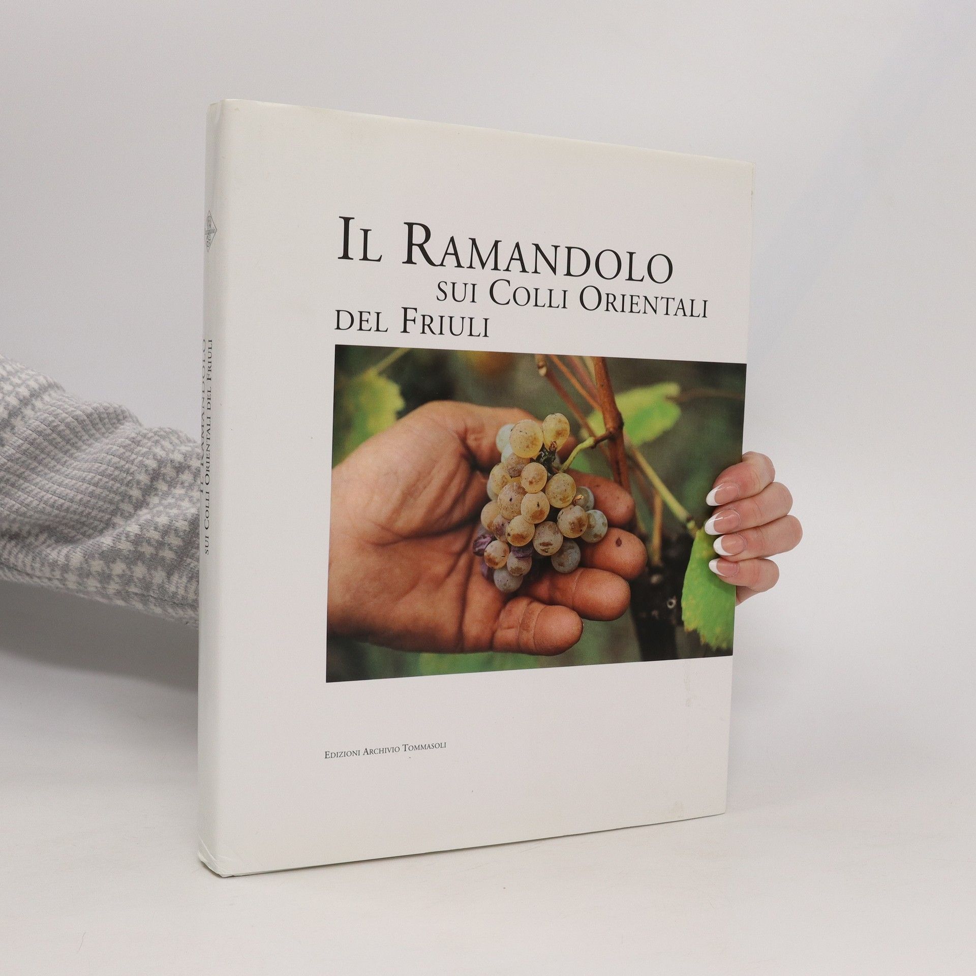 AA.VV. Il Ramandolo sui Colli Orientali del Friuli