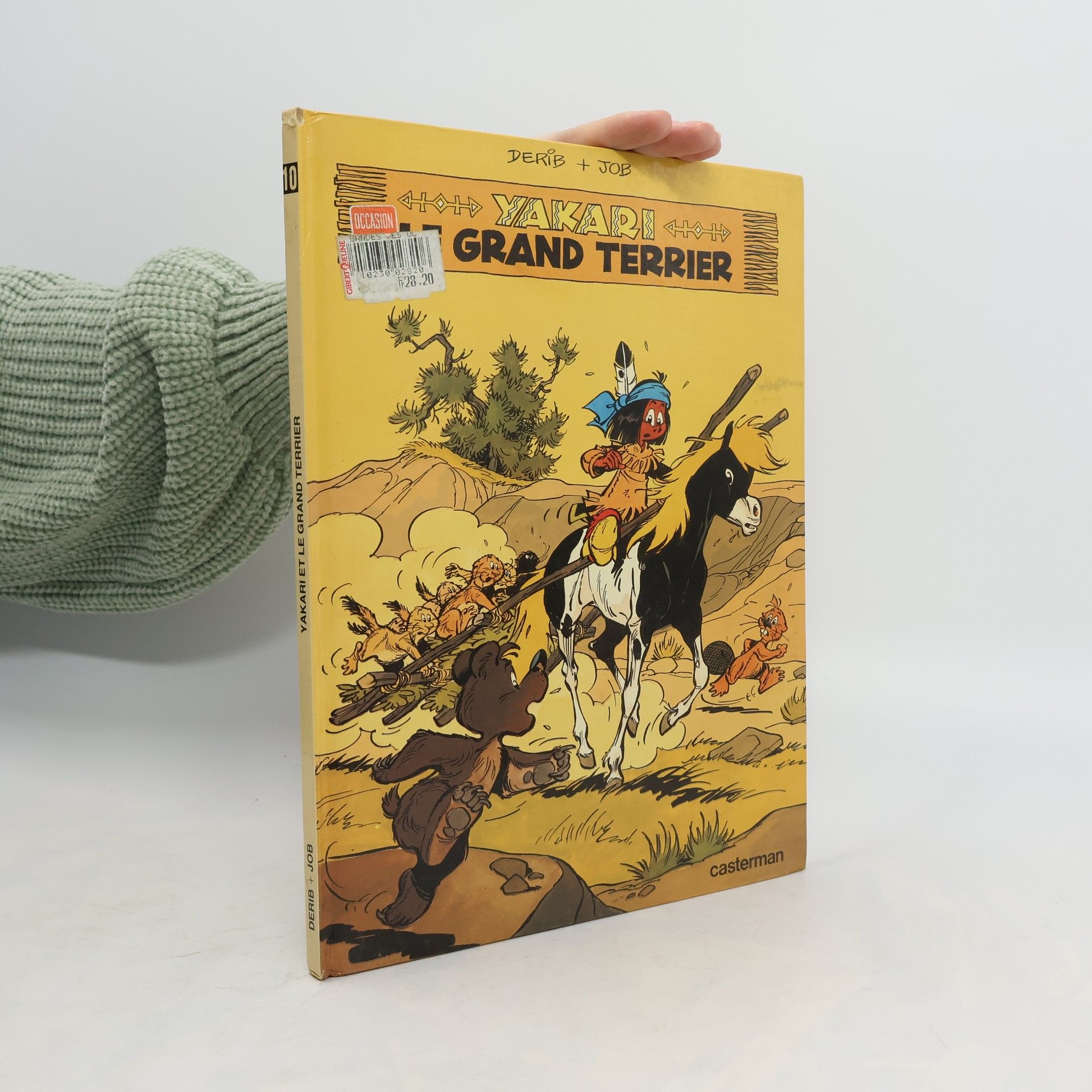 AA.VV. Yakari et le Grand Terrier