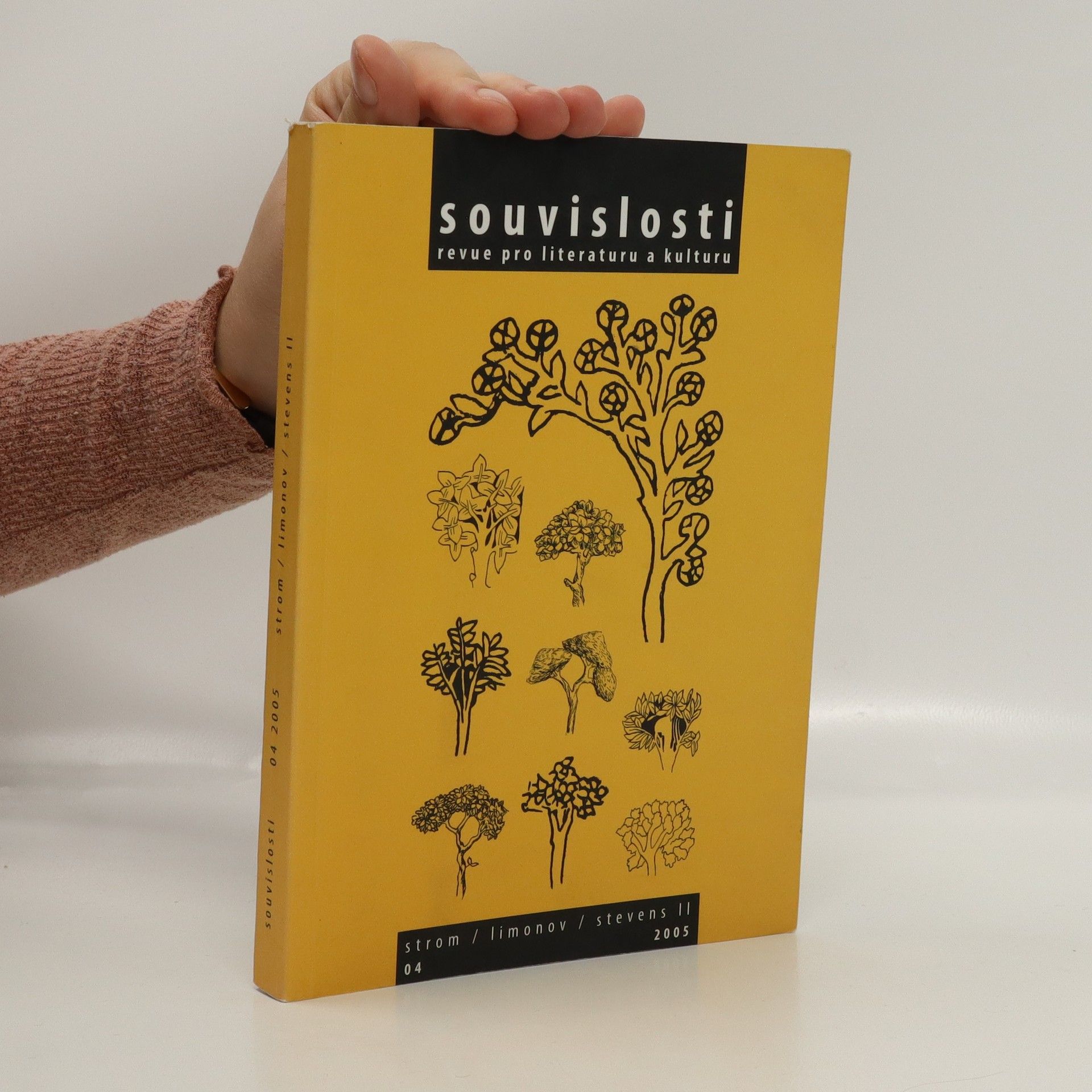 Kolektiv autorů Souvislosti 4/2005