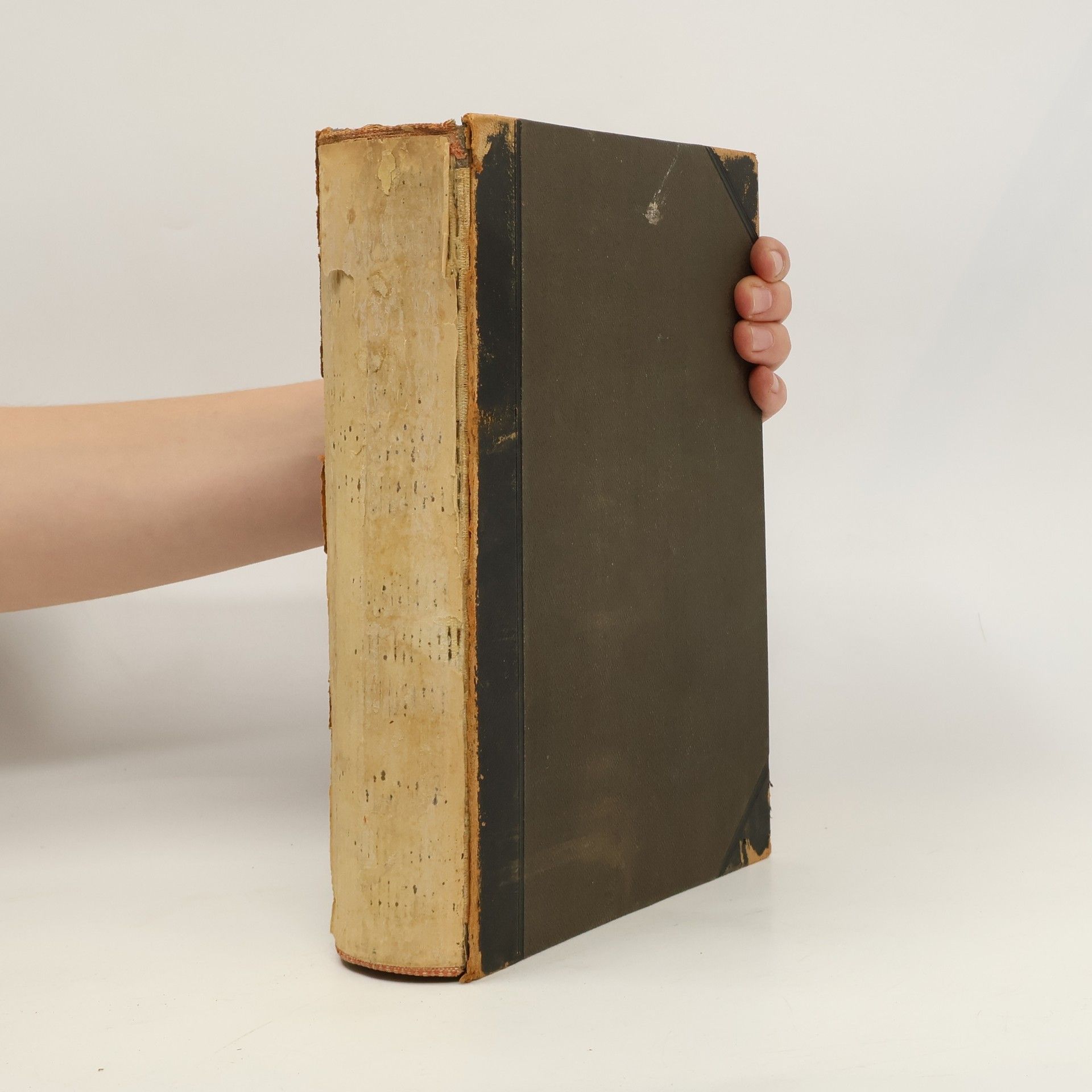 Autorenkollektiv Meyers Konversations-Lexikon