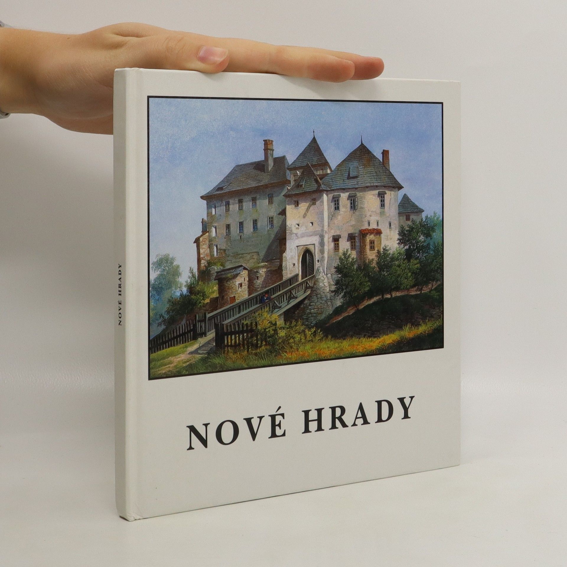 Pavel Koblasa Nové Hrady