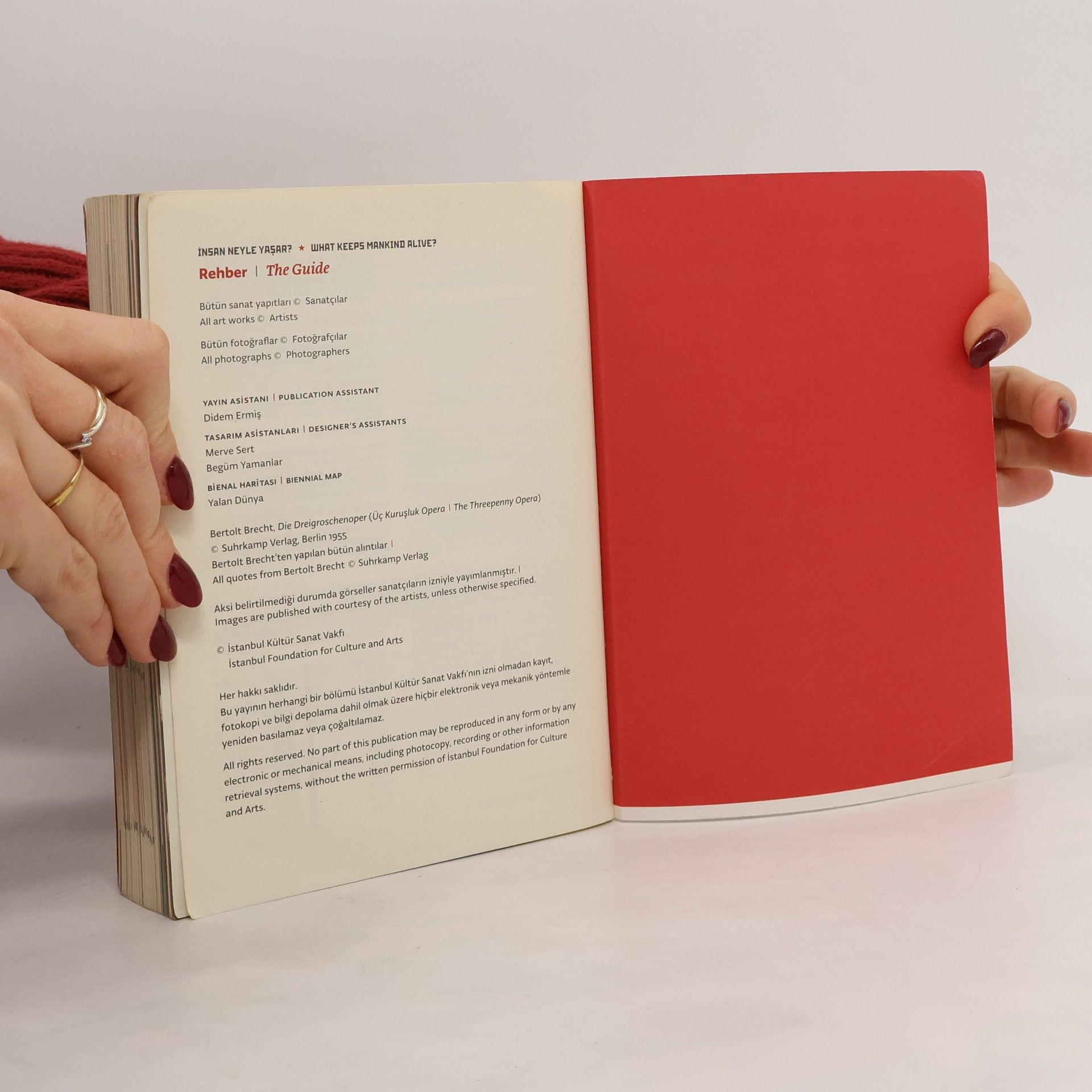 Autorenkollektiv Rehber. The Guide