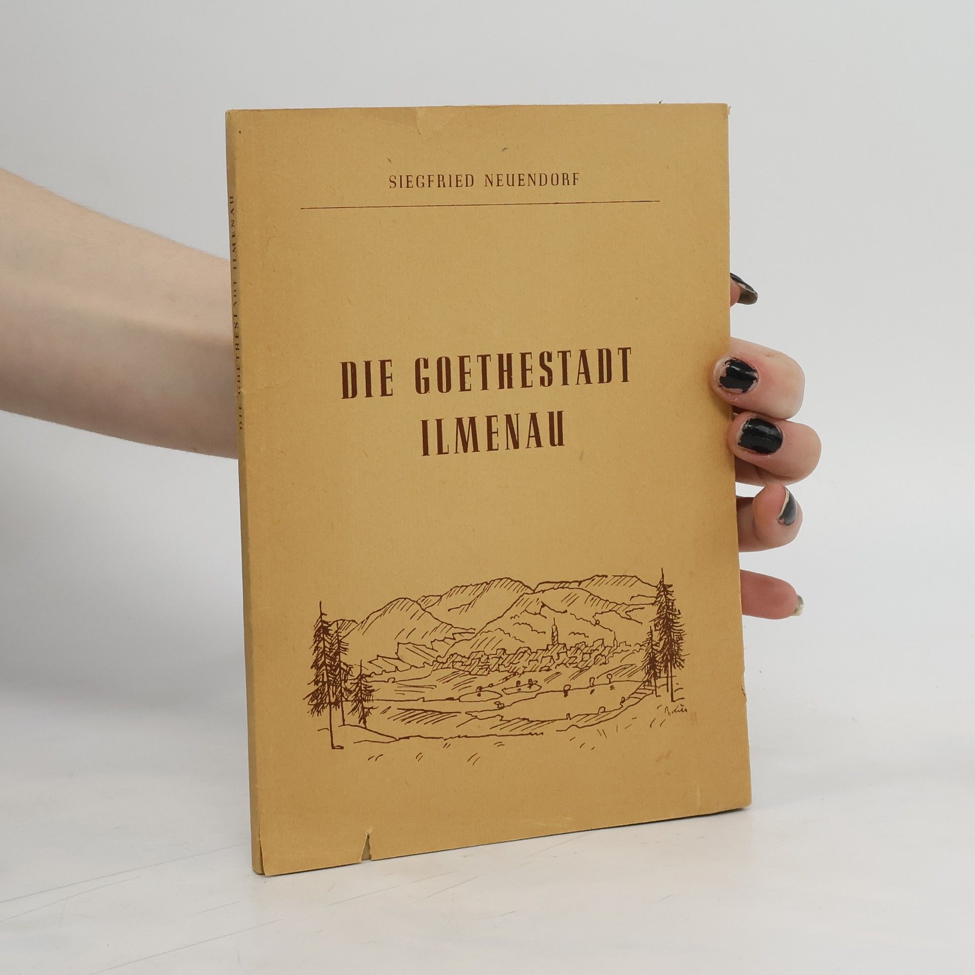 Siegfried Neuendorf Die Goethestadt Ilmenau