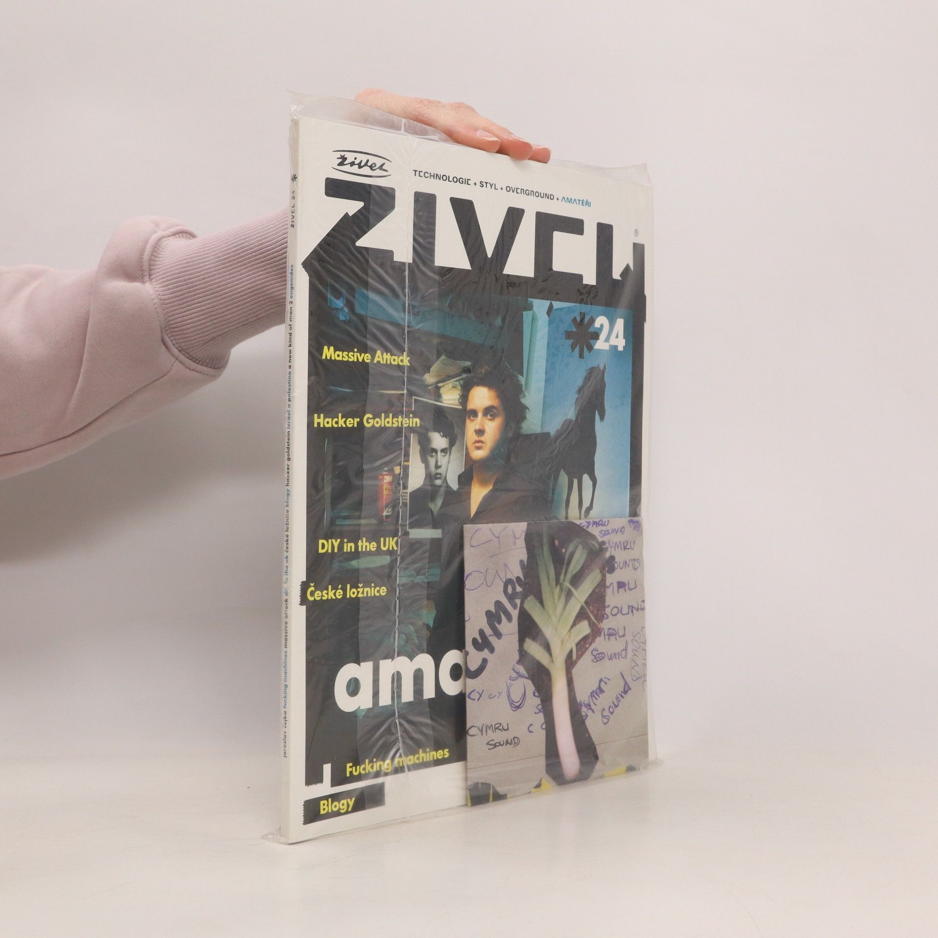 Autorenkollektiv Živel 24