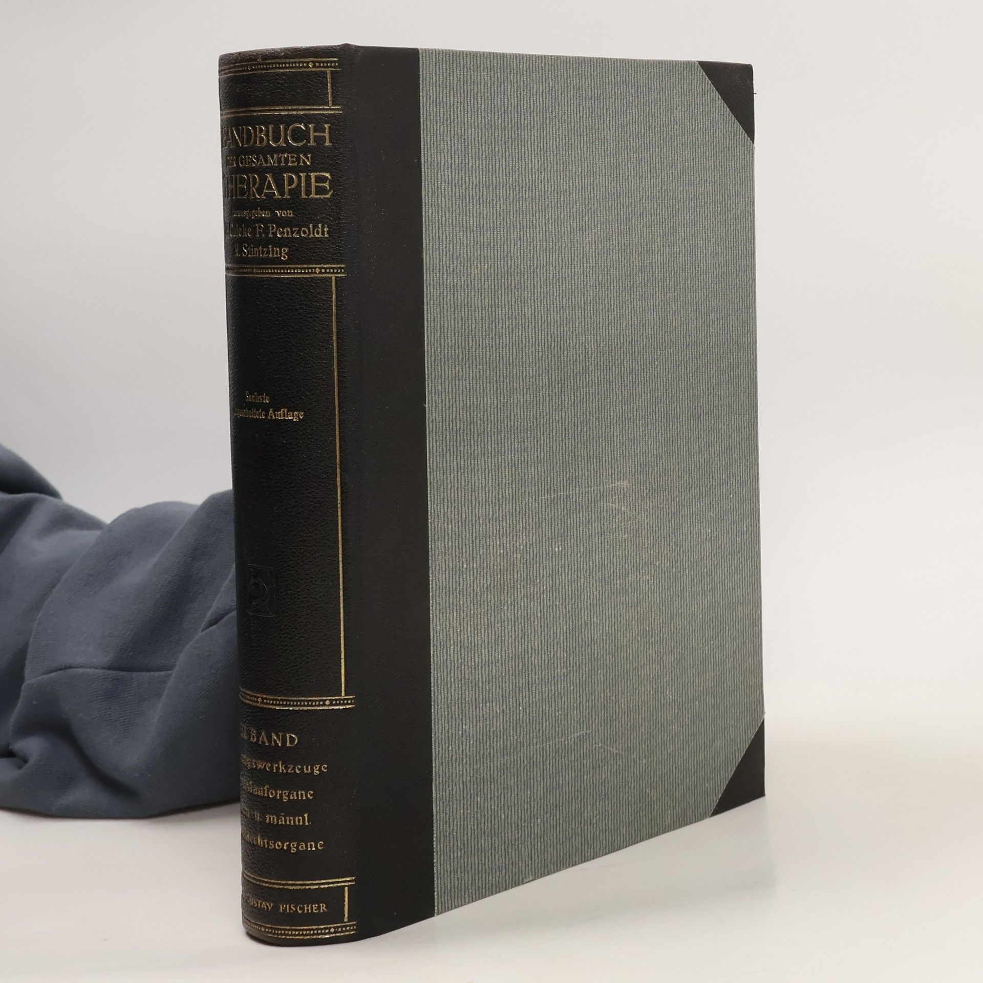 Roderich Stintzing Handbuch der gesamten therapie