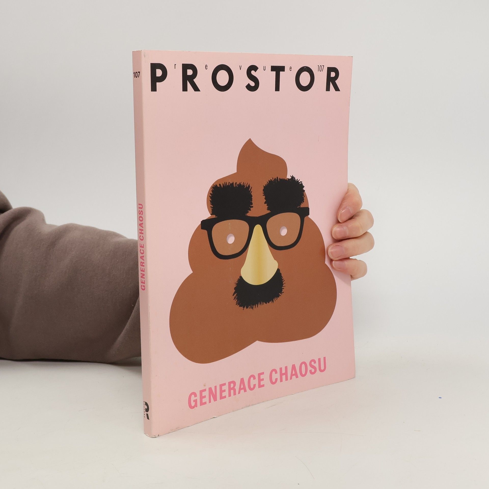 Kolektiv autorů Revue Prostor č.107, Generace chaosu