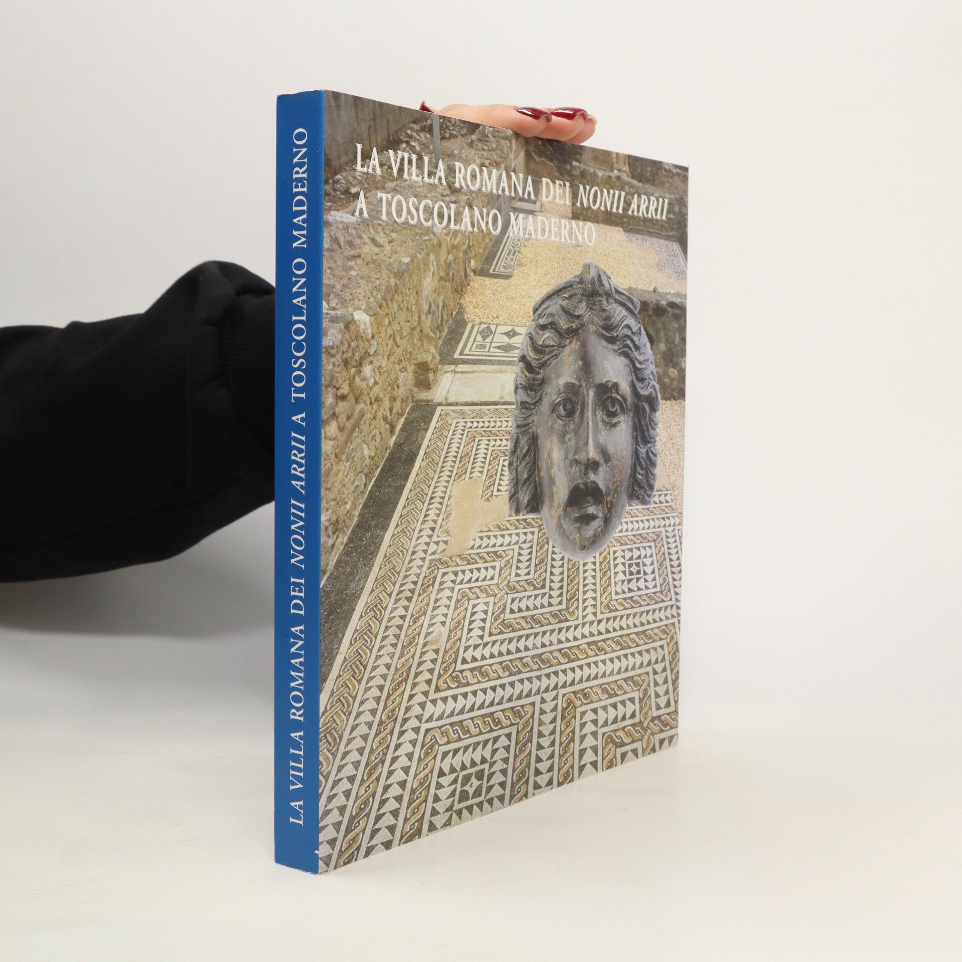 AA.VV. La villa romana dei Nonii Arrii a Toscolano Maderno