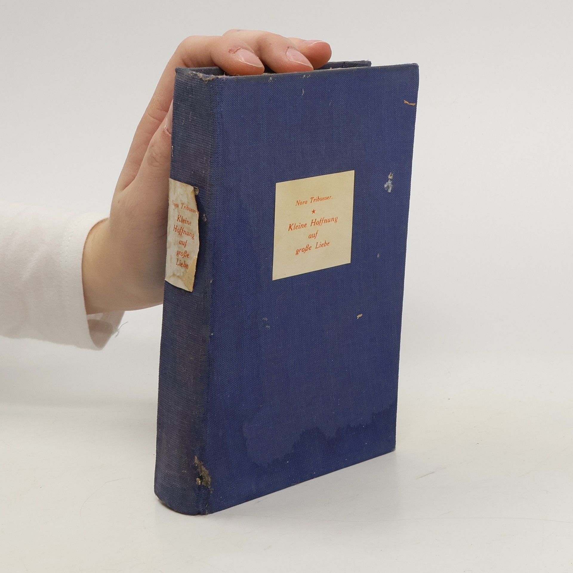 Nora Tribusser Kleine Hoffnung auf große Liebe