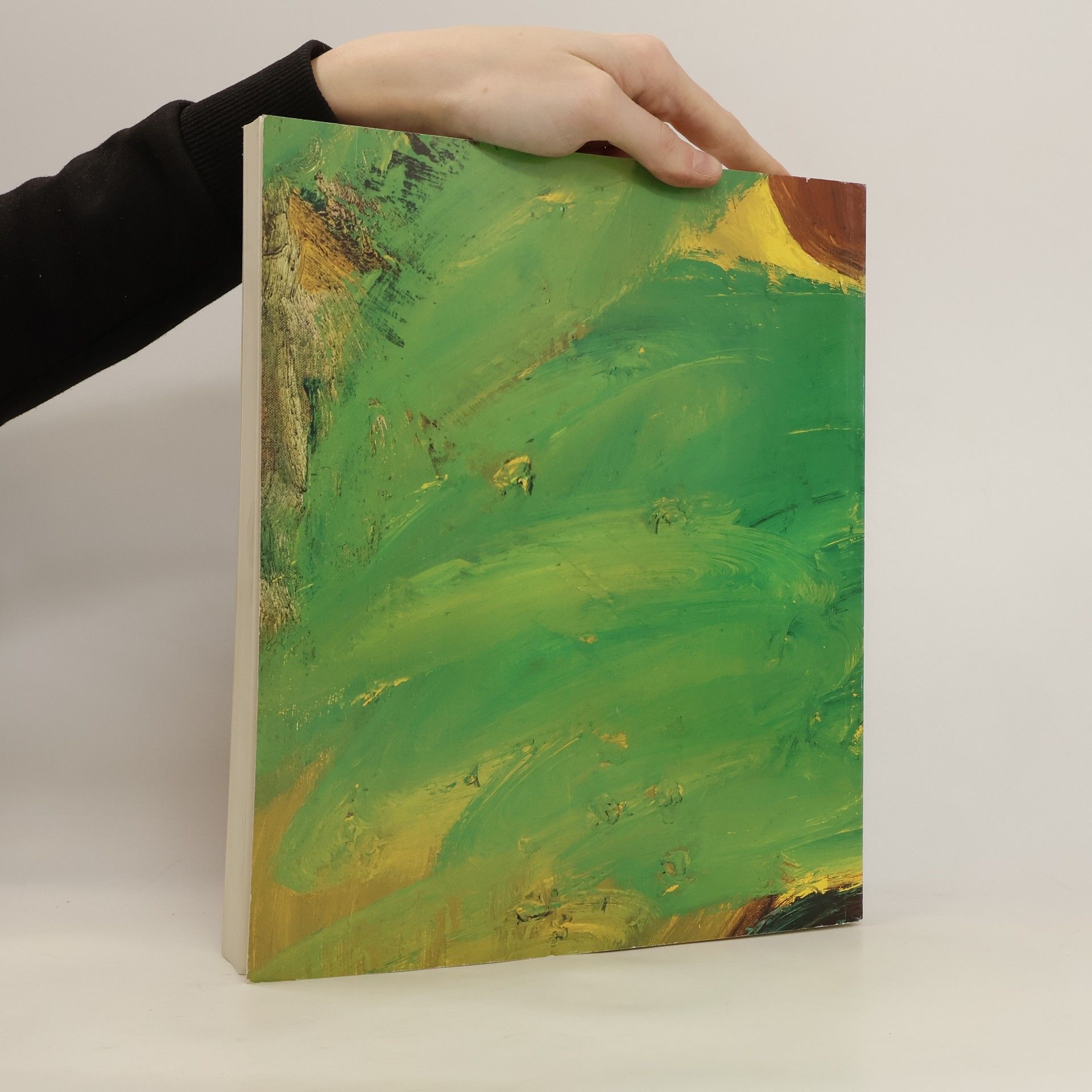 Various authors Sammlung Thomas. Kunst aus den achtziger Jahren