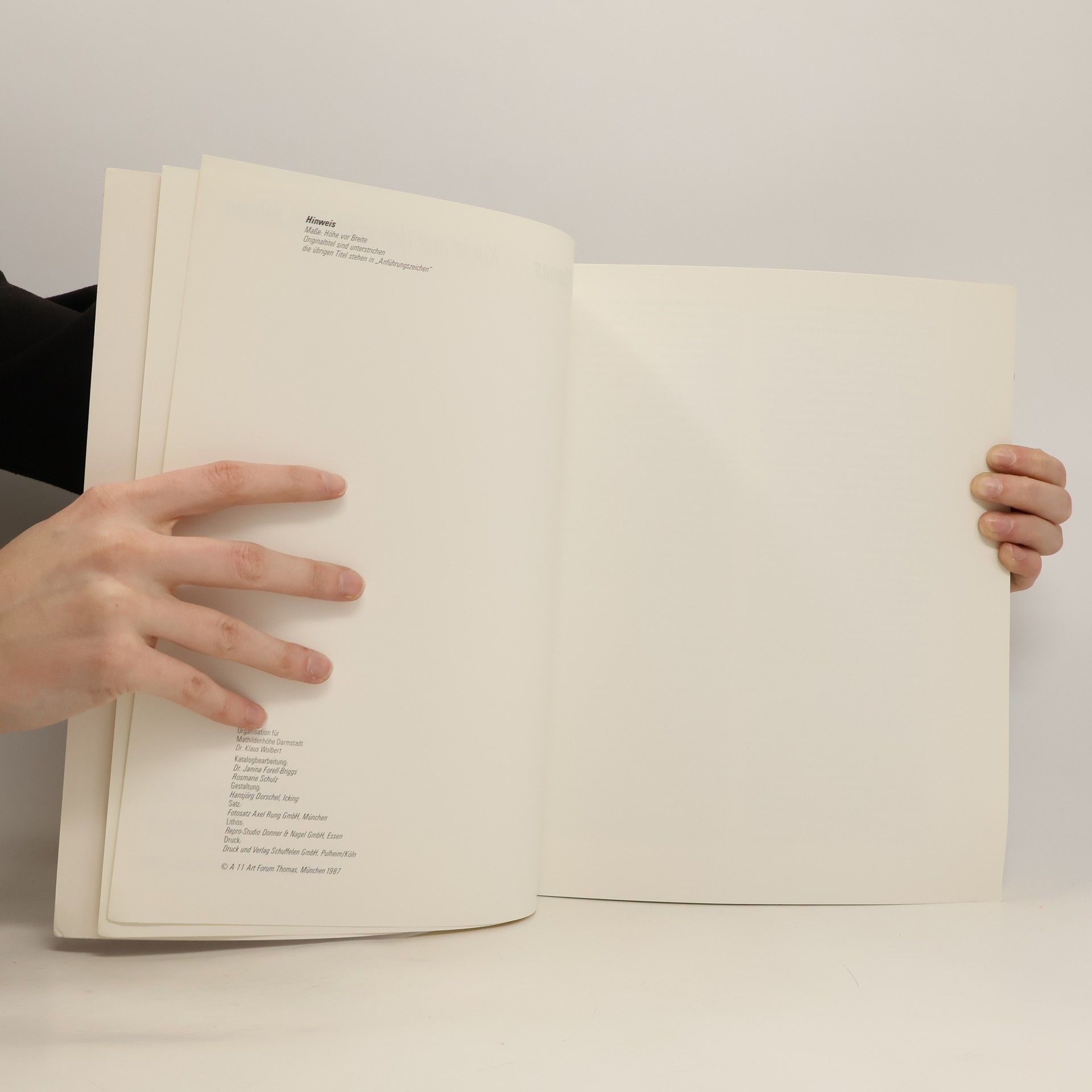 Various authors Sammlung Thomas. Kunst aus den achtziger Jahren