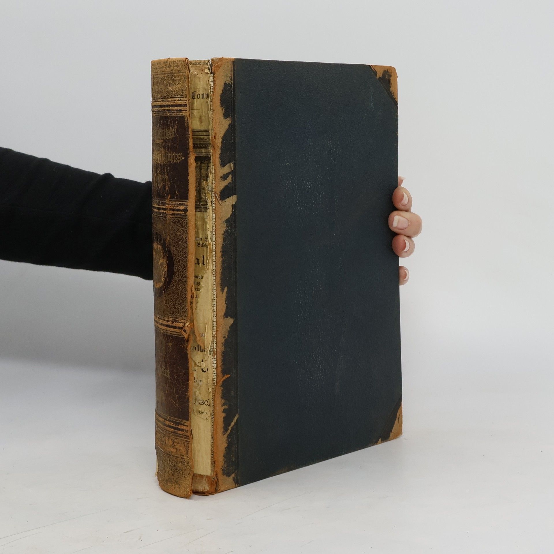 Autorenkollektiv Brockhaus' Konversations-Lexikon