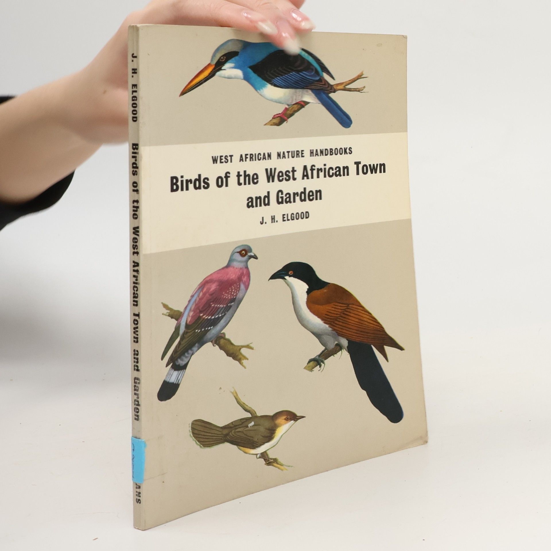 J. H. Elgood Birds of the West African Town and Garden
