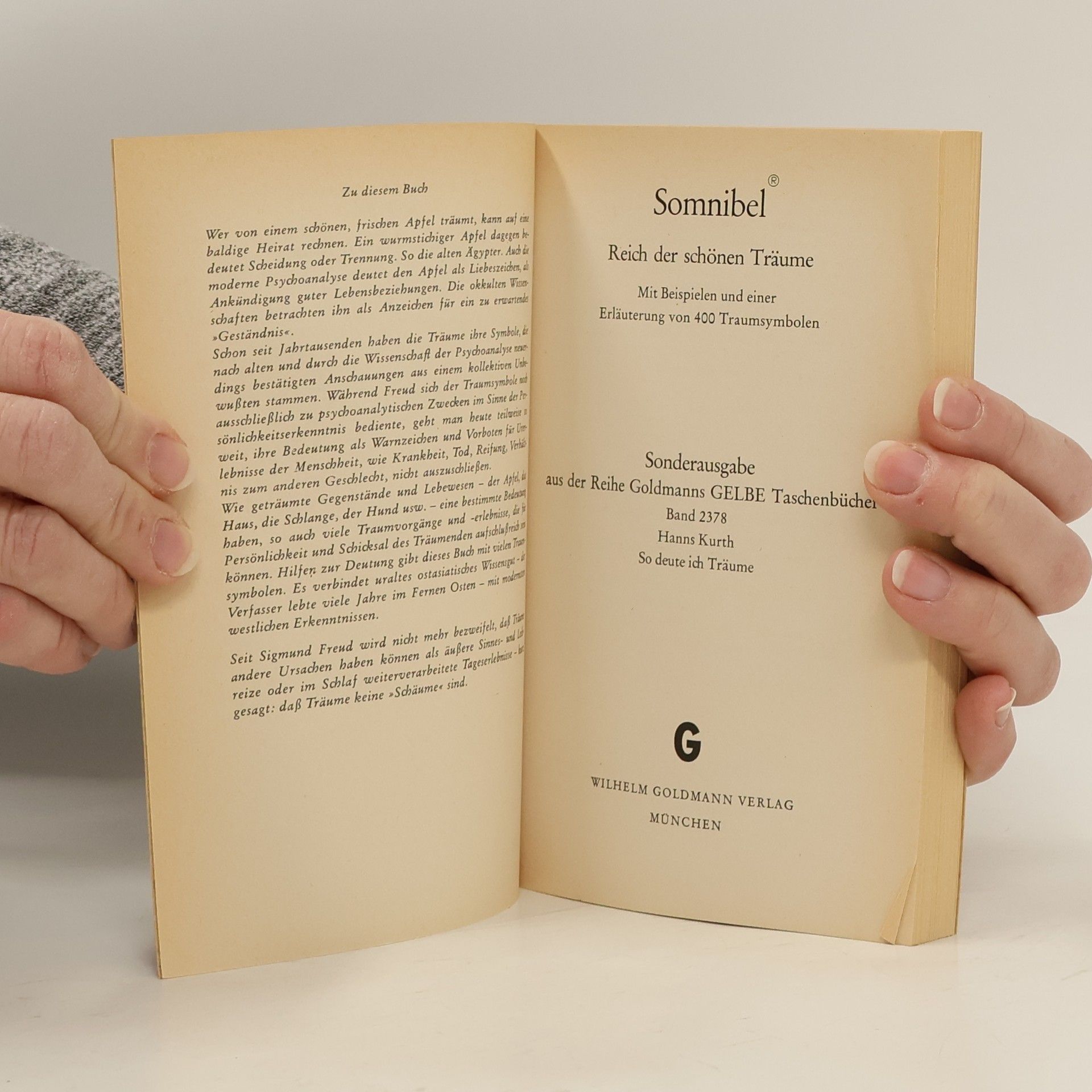Autorenkollektiv Somnibel Reich der schonen Träume