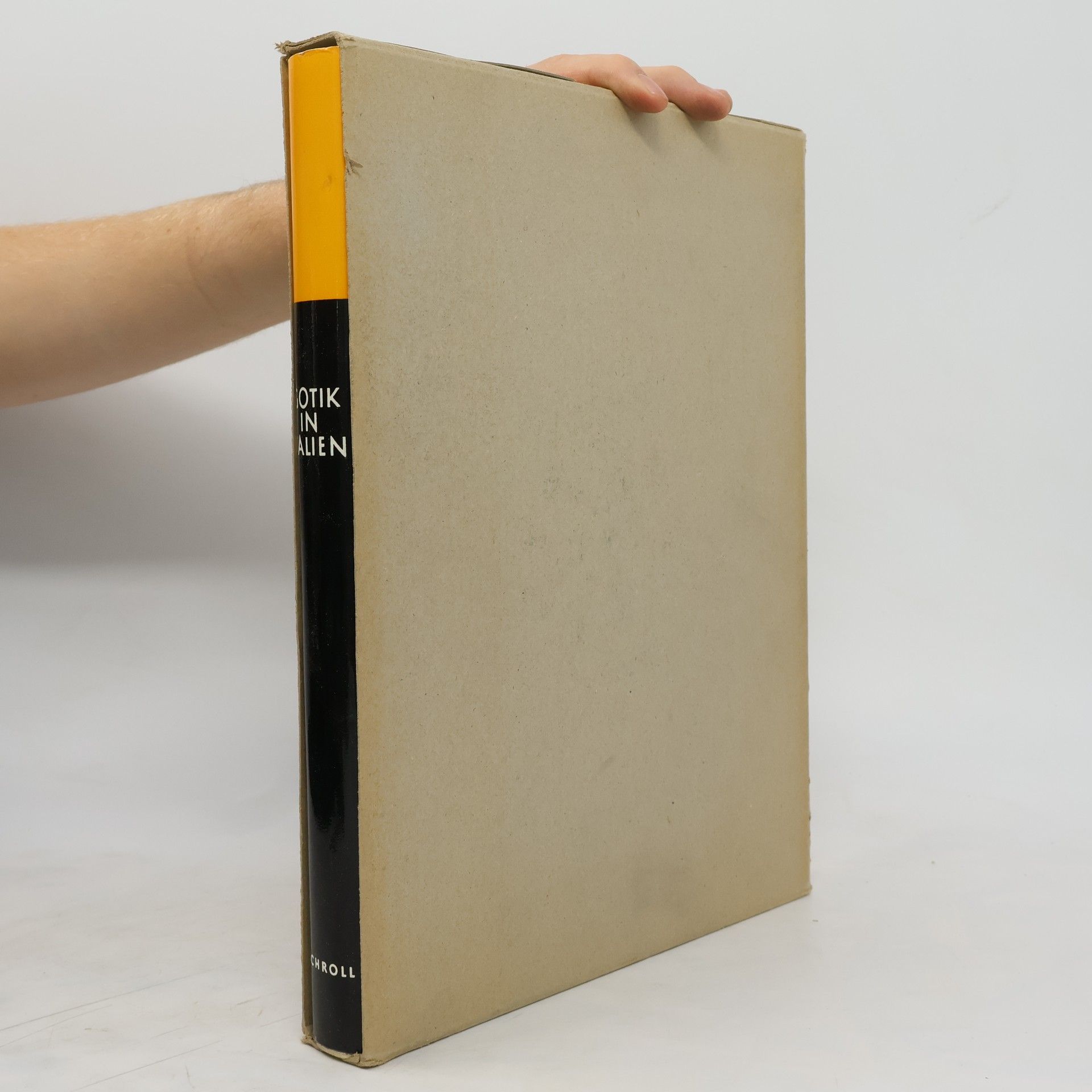 Various authors Gotik in Galien