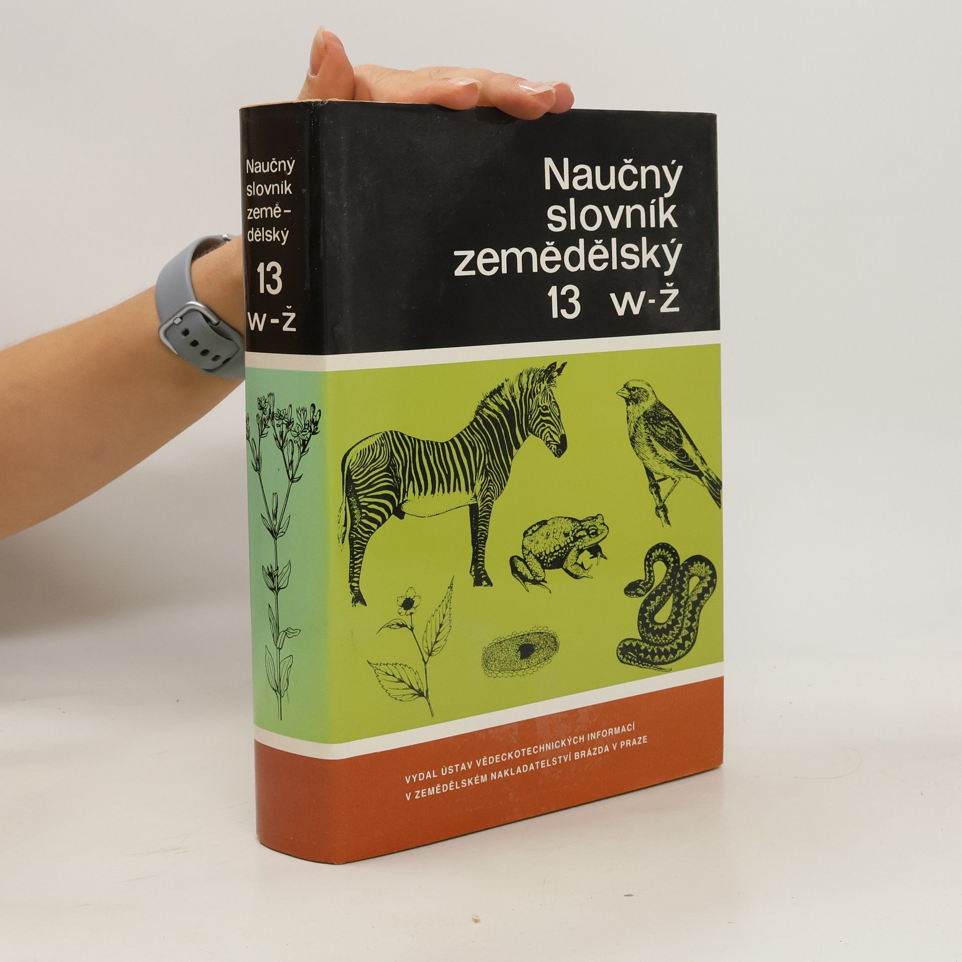 Kolektiv autorů Naučný slovník zemědělský. 13, W-Ž