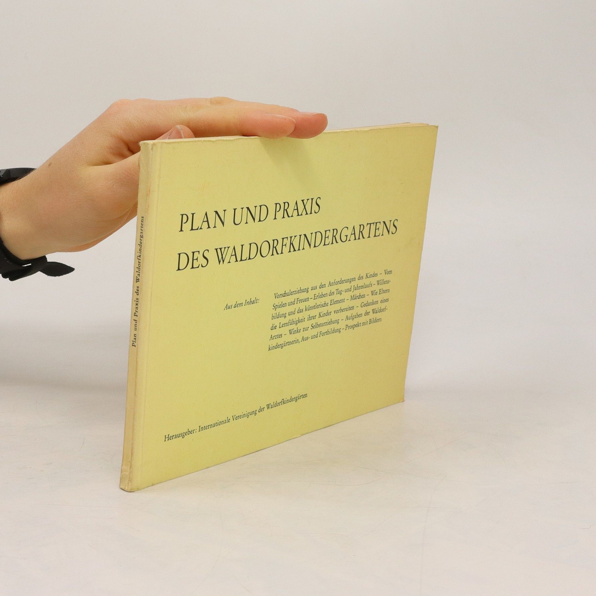 Autorenkollektiv Plan und Praxis des Waldorfkindergartens