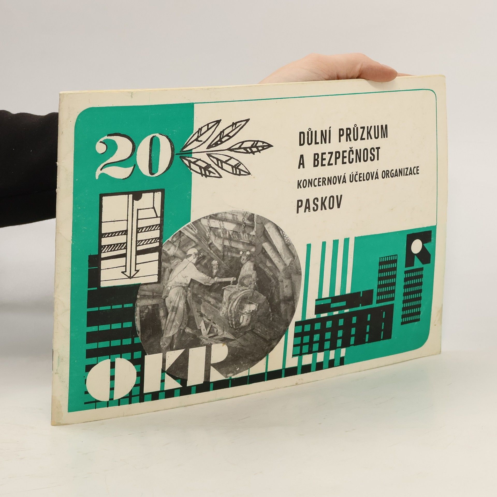 Collectif d'auteurs Důlní průzkum a bezpečnost Paskov