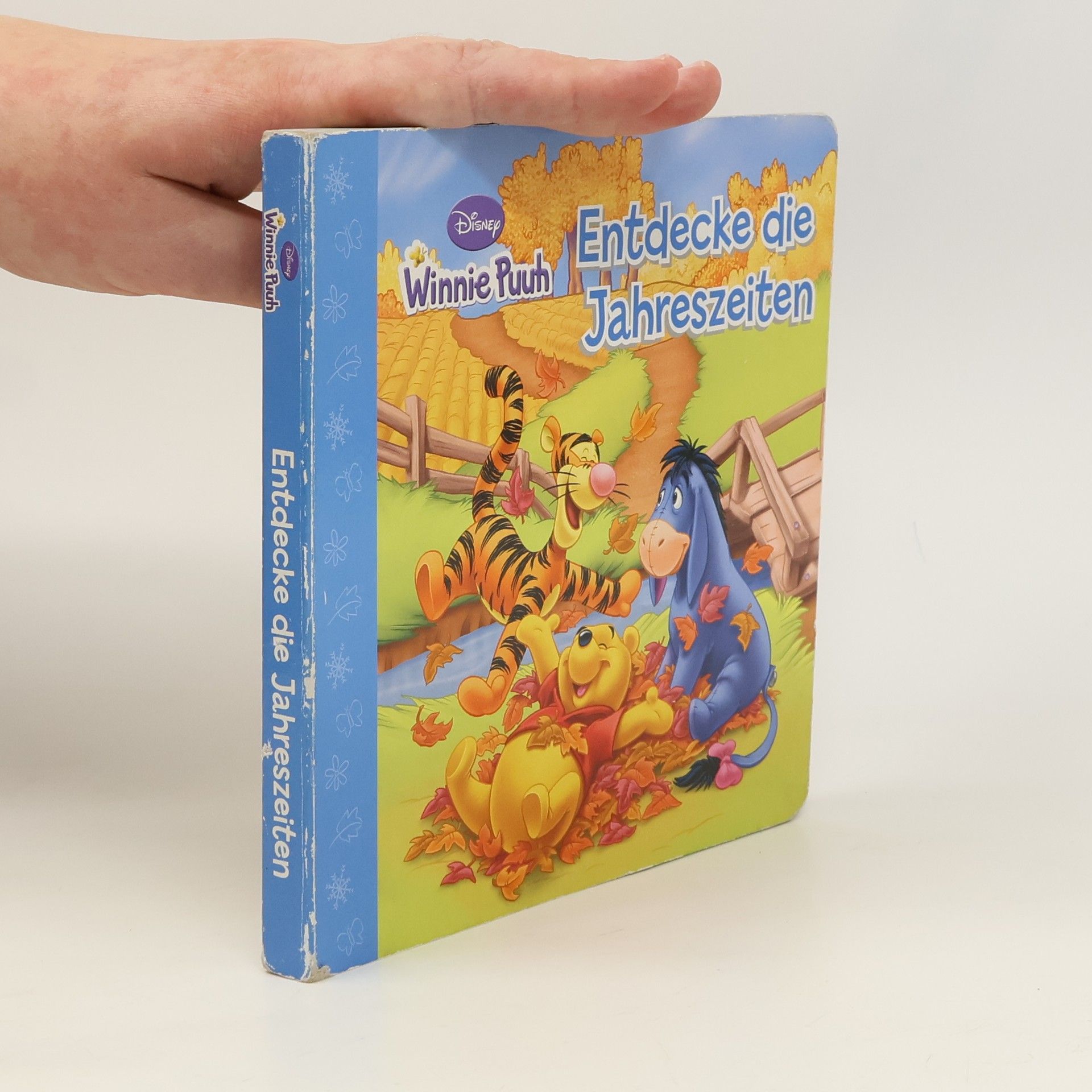 kolektiv Winnie Puuh Entdecke die Jahreszeiten
