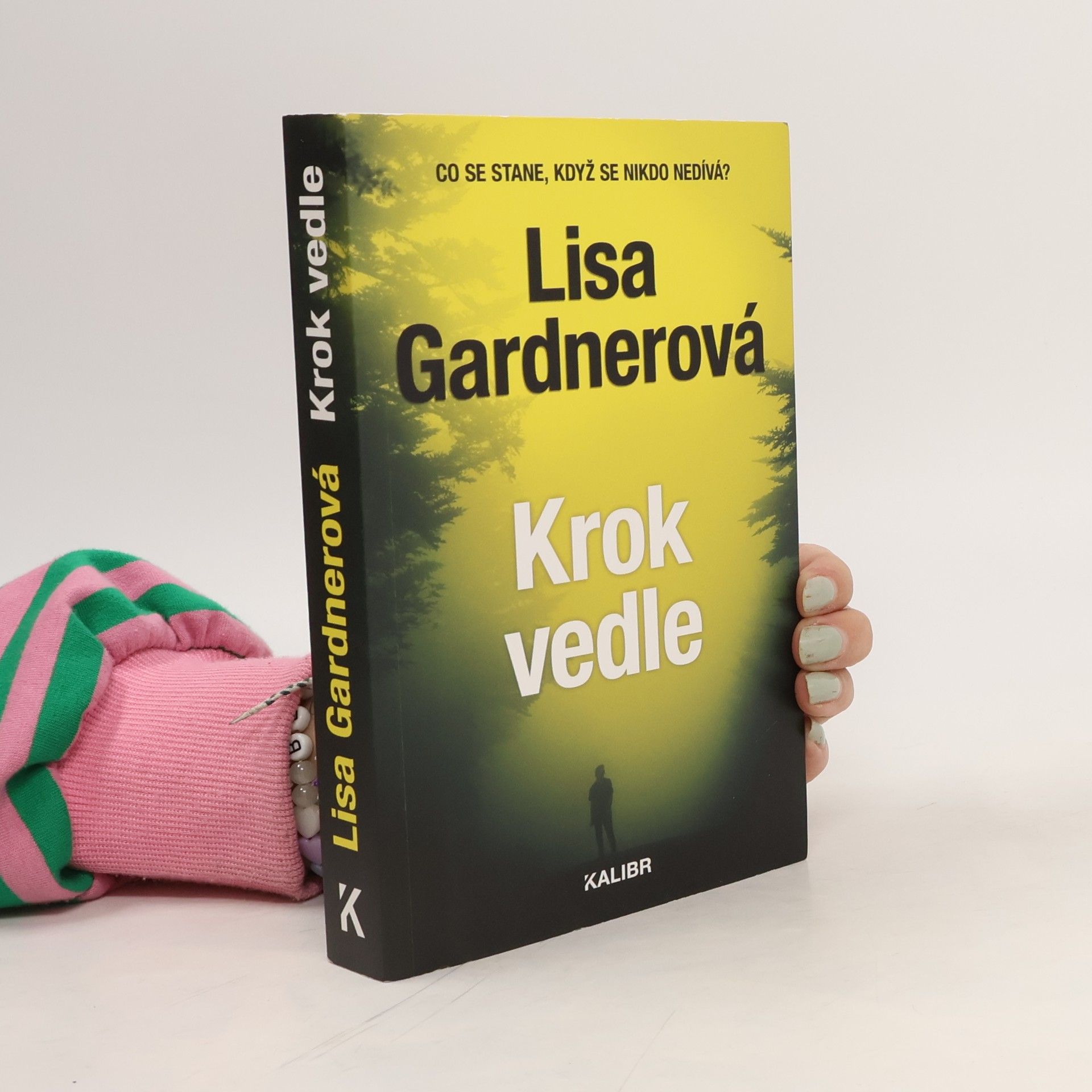 Lisa Gardner Krok vedle