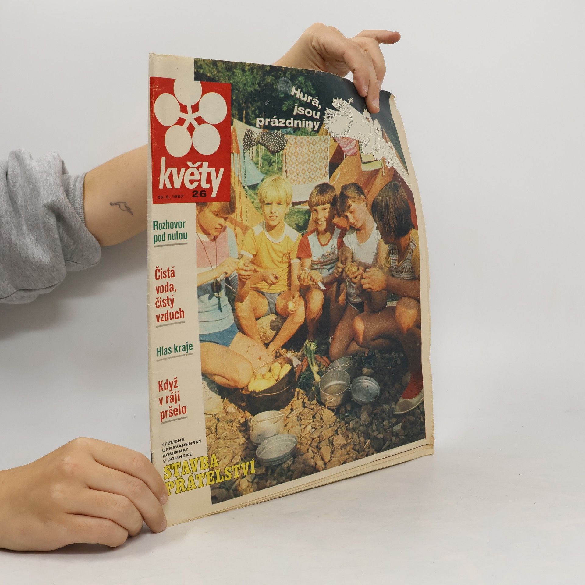 Collectif d'auteurs Květy 6/1987