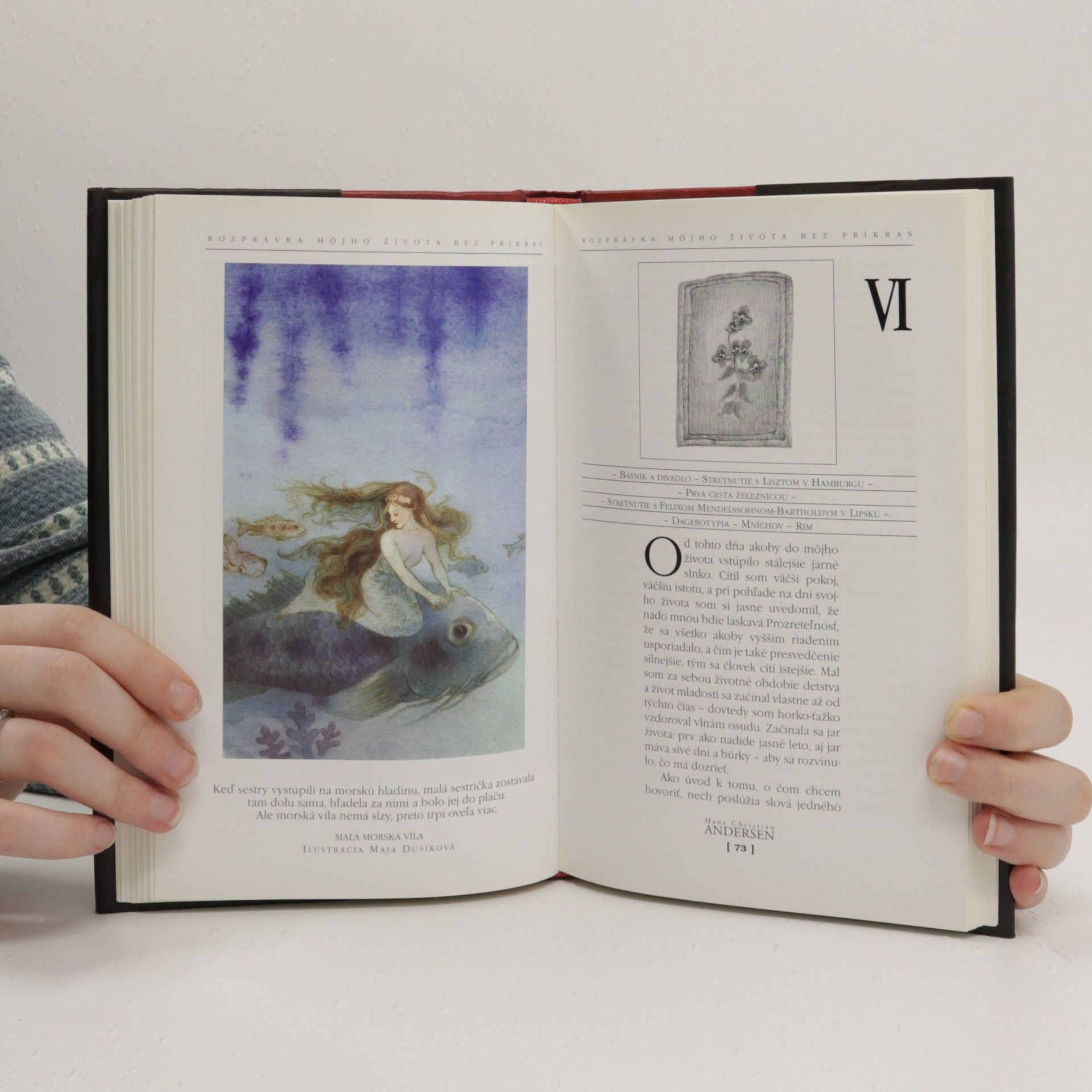 Hans Christian Andersen Rozprávka môjho života bez príkras