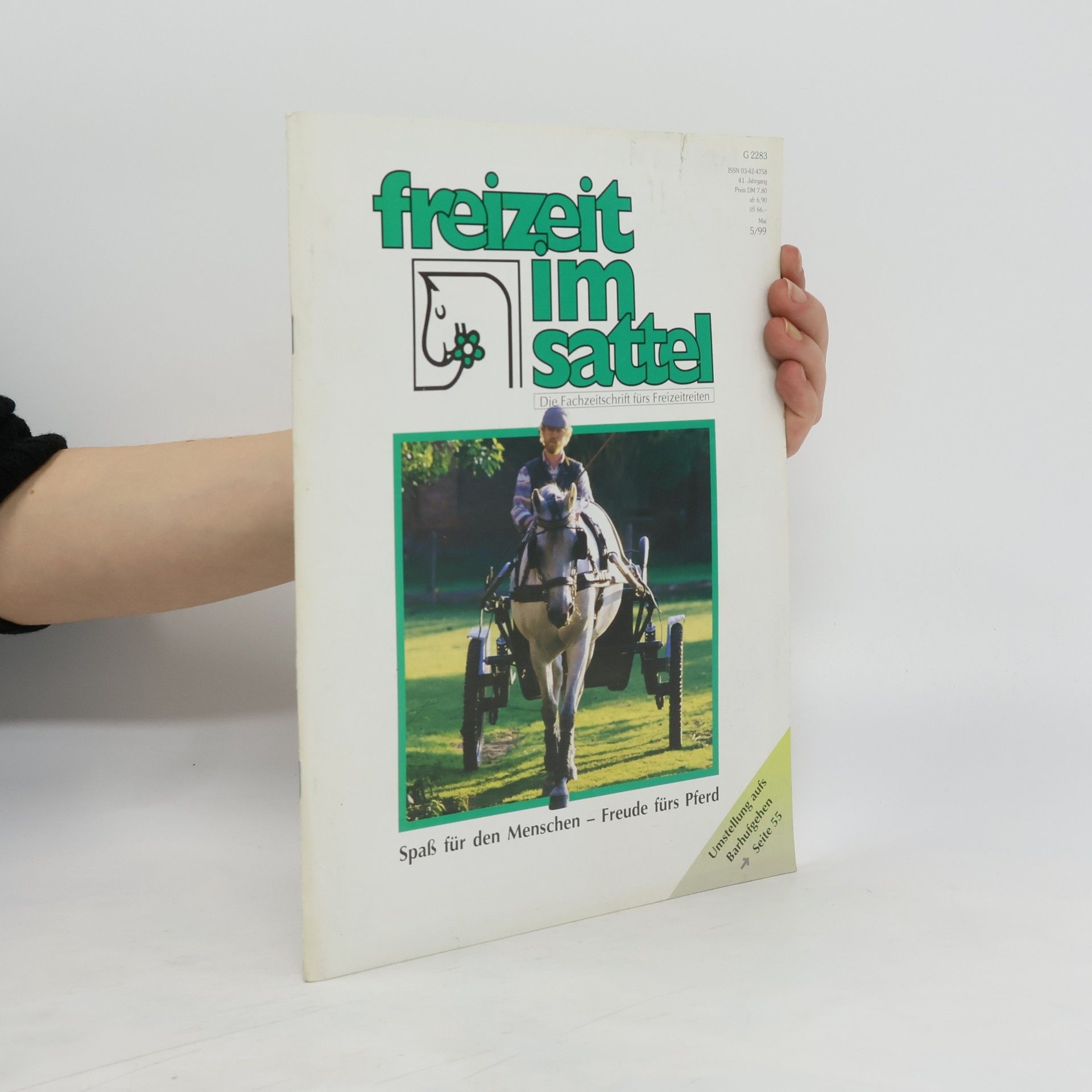 kolektiv Freizeit im Sattel