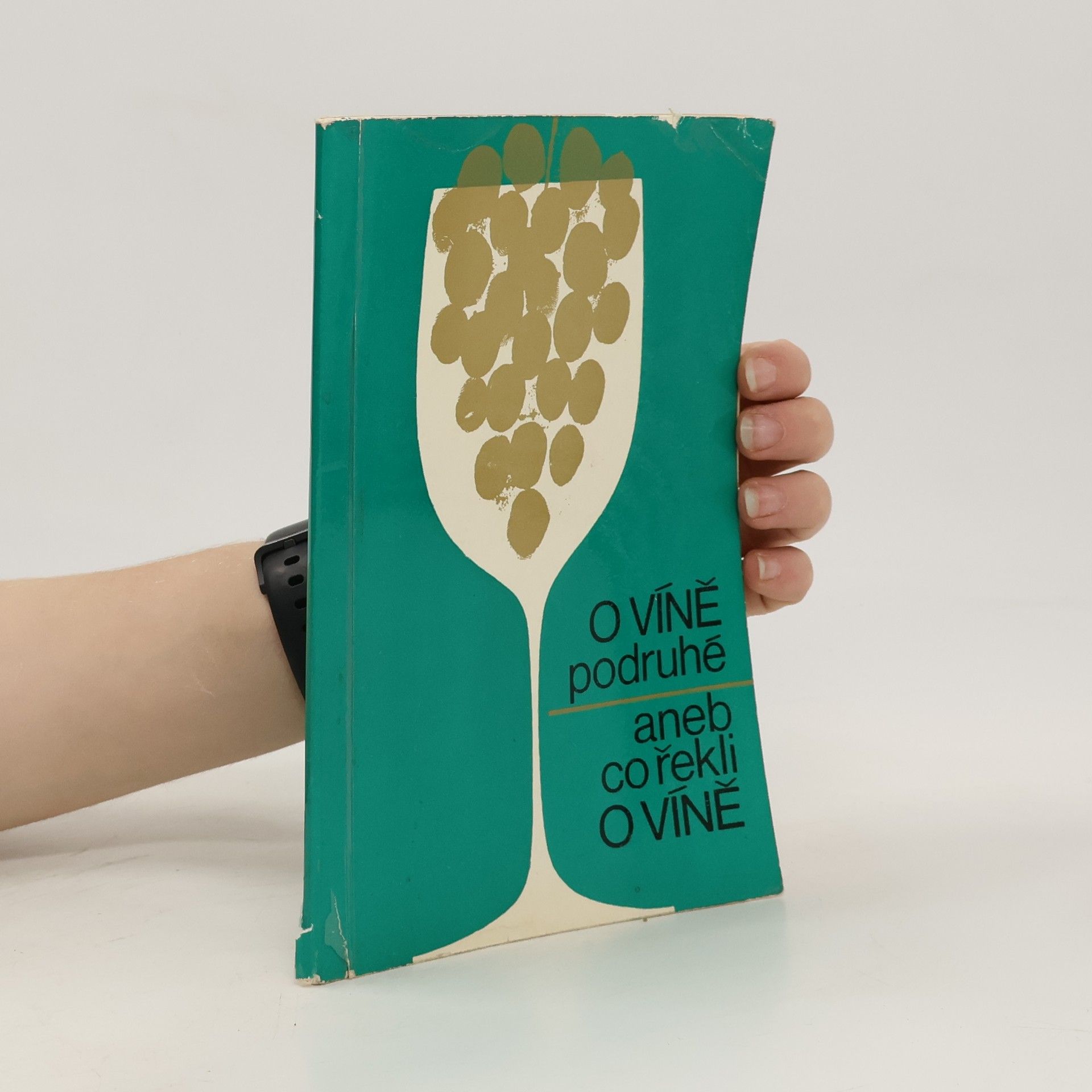 Collectif d'auteurs O víně podruhé aneb co řekli o víně