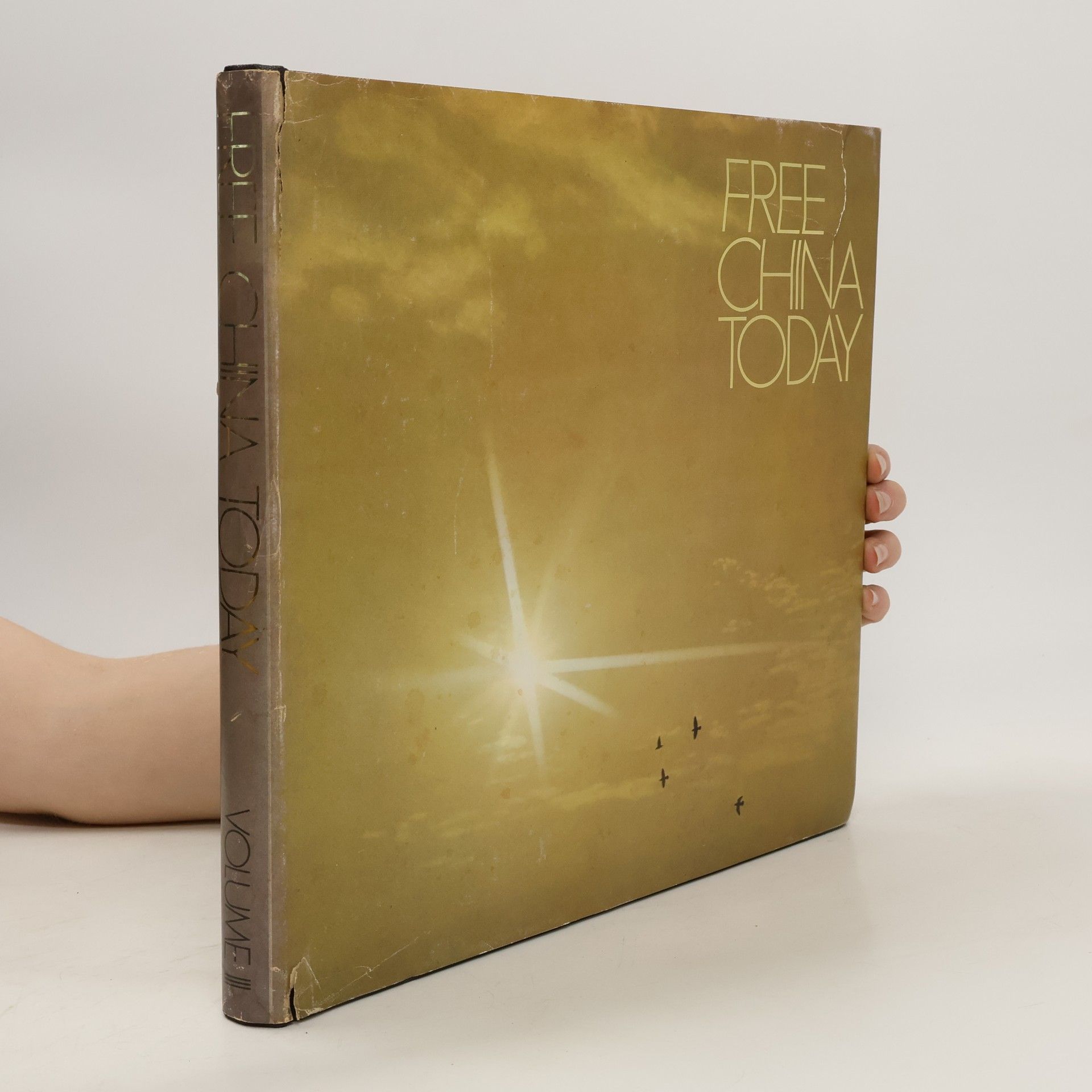 Collectif d'auteurs Free China Today III.