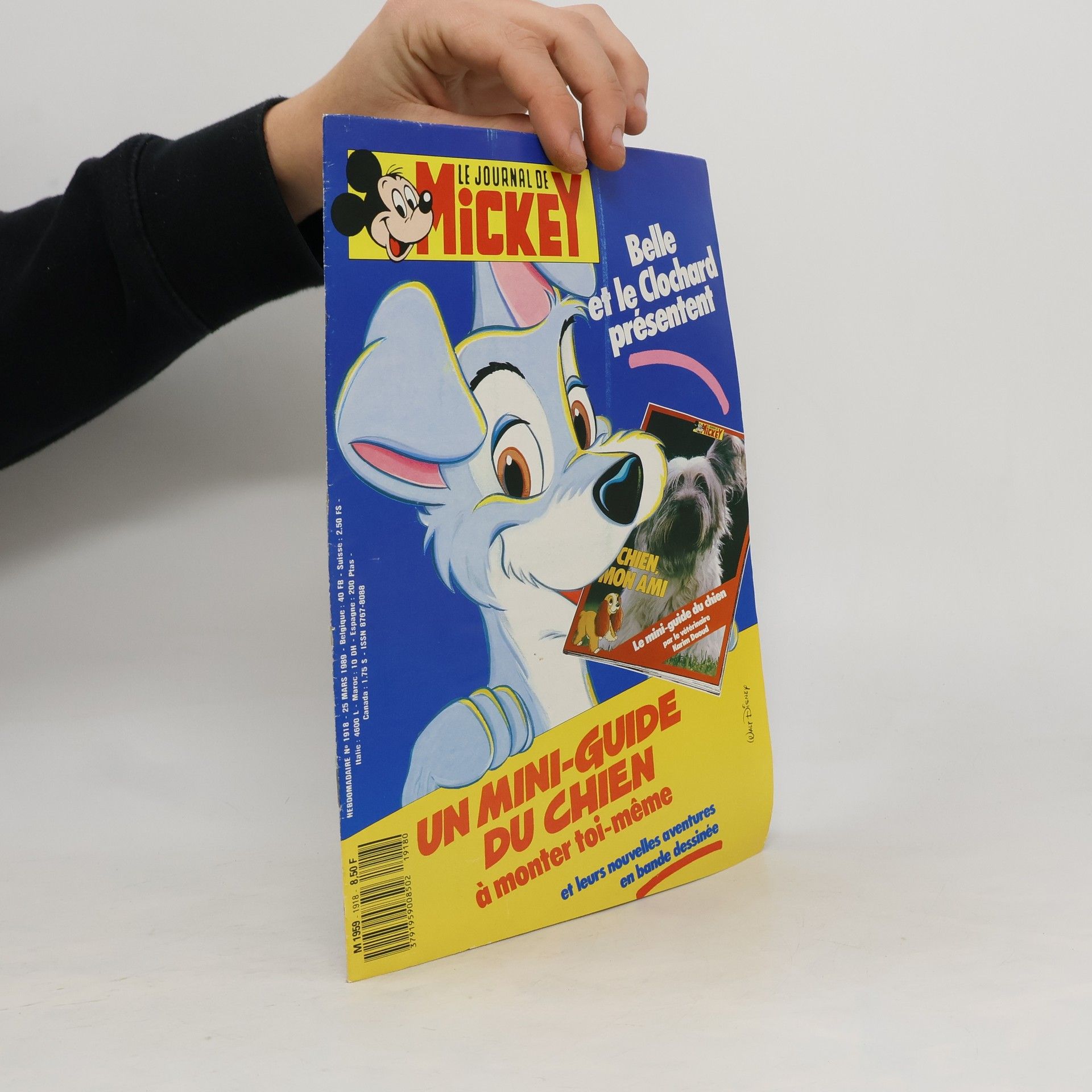 Collectif d'auteurs Mickey