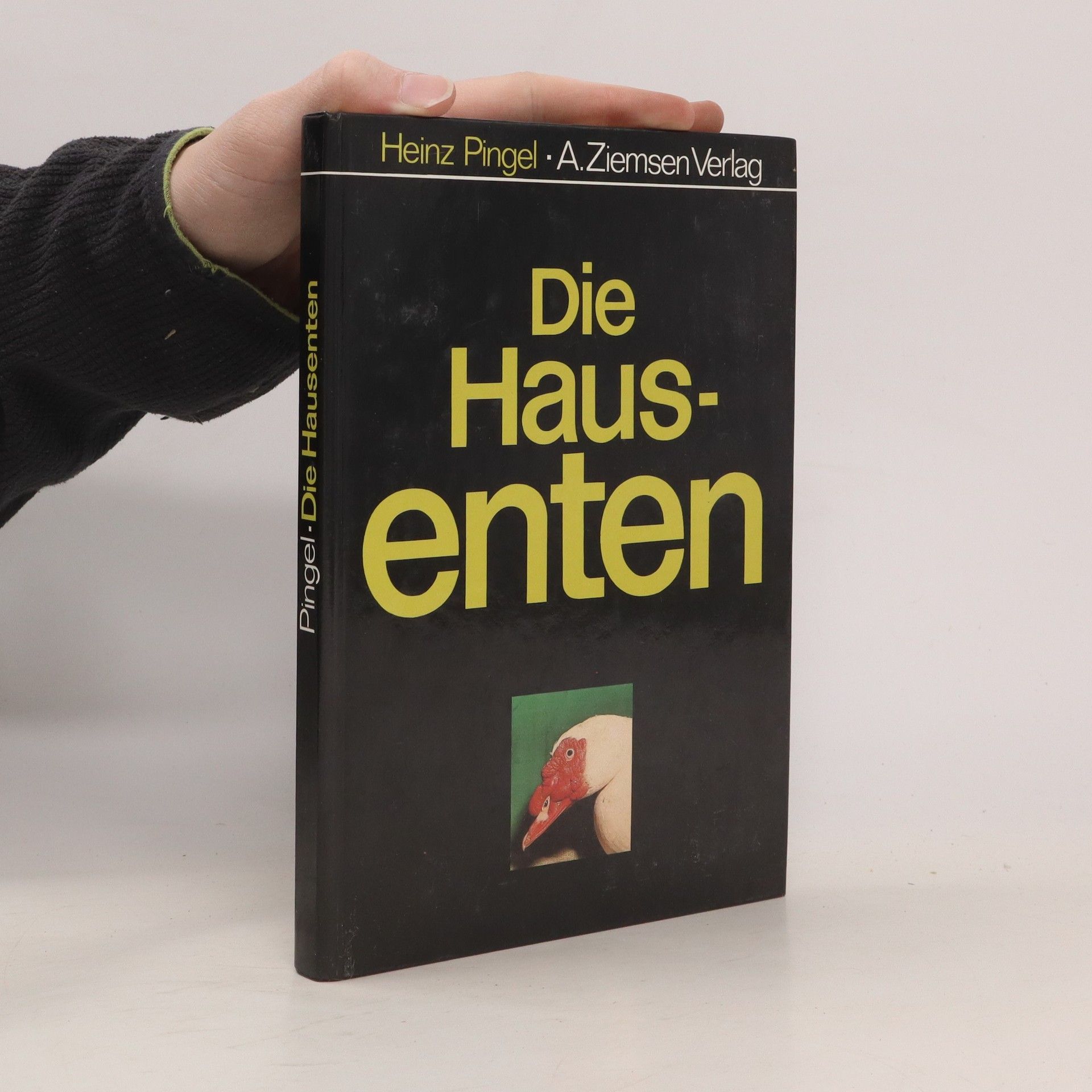Heinz Pingel Die Hausenten