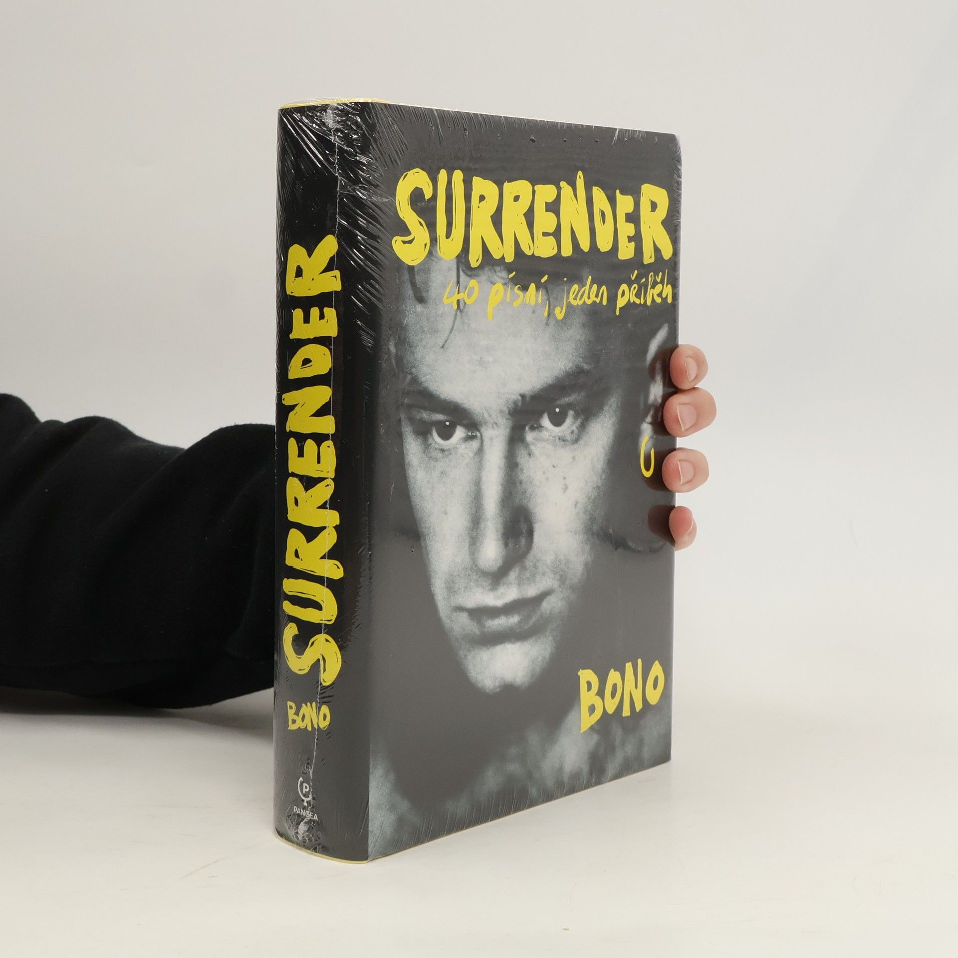 Bono Surrender : 40 písní, jeden příběh