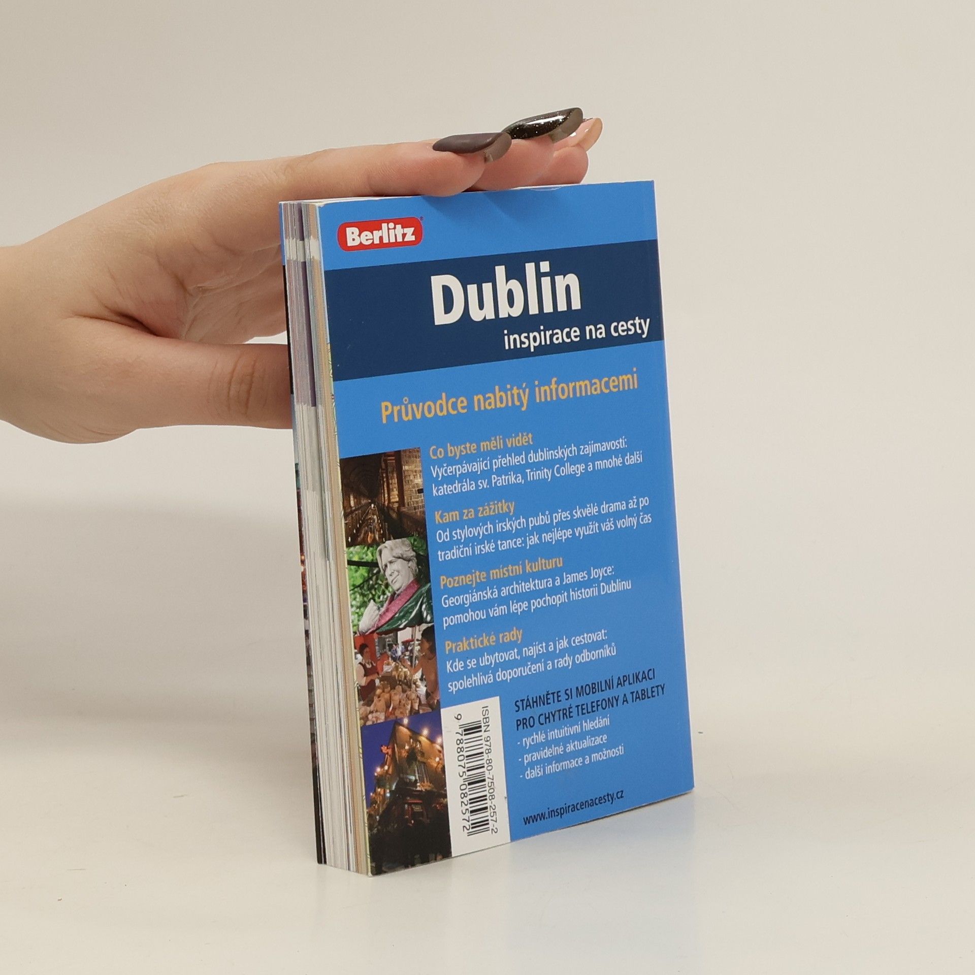Collectif d'auteurs Dublin
