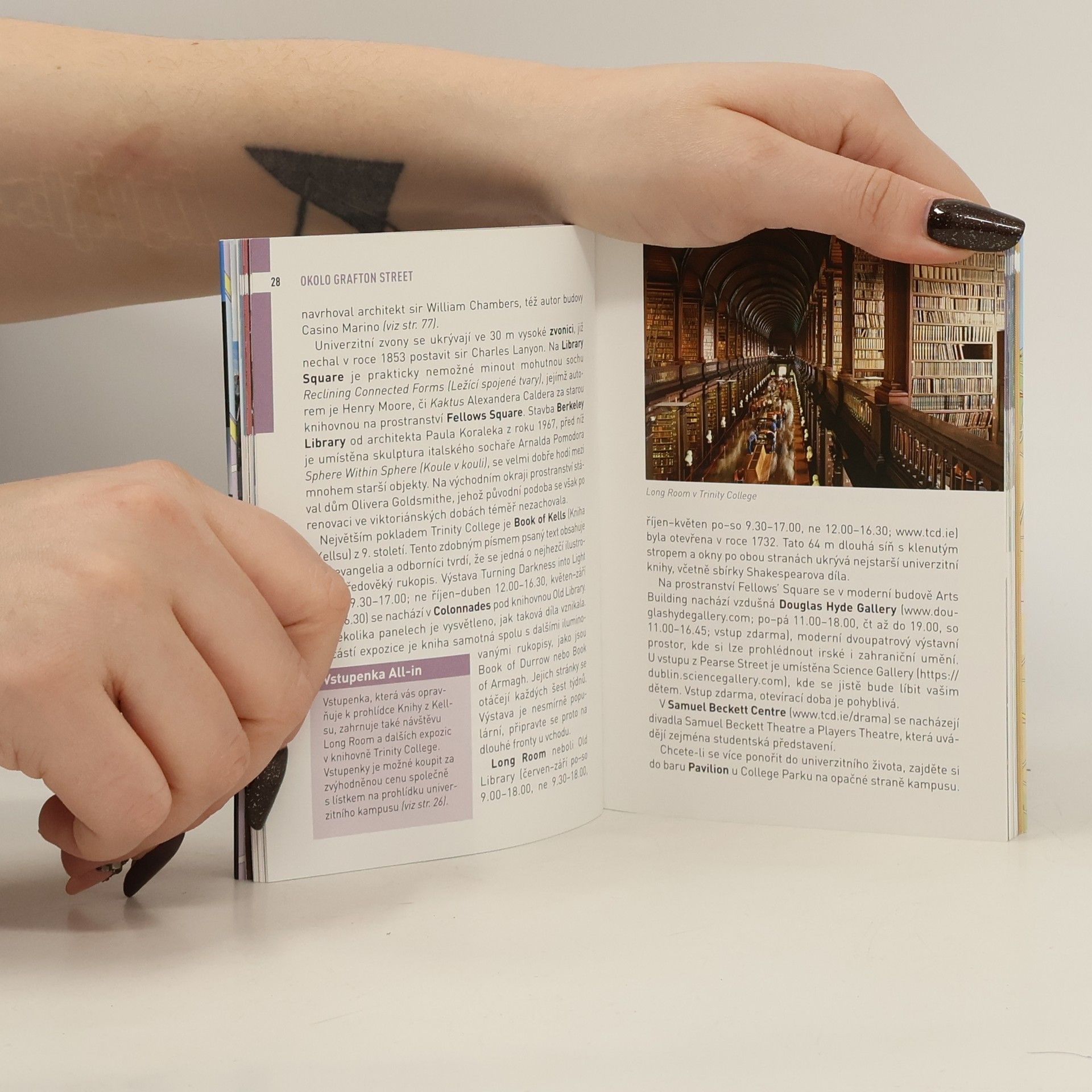Collectif d'auteurs Dublin