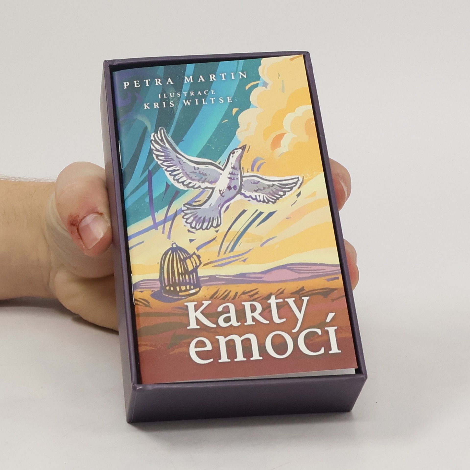 Petra Martin Karty emocí