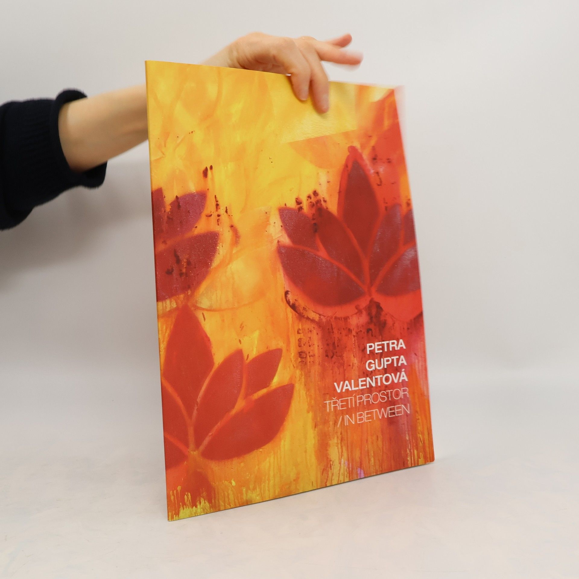 Petra Valentová Třetí Prostor. In Between