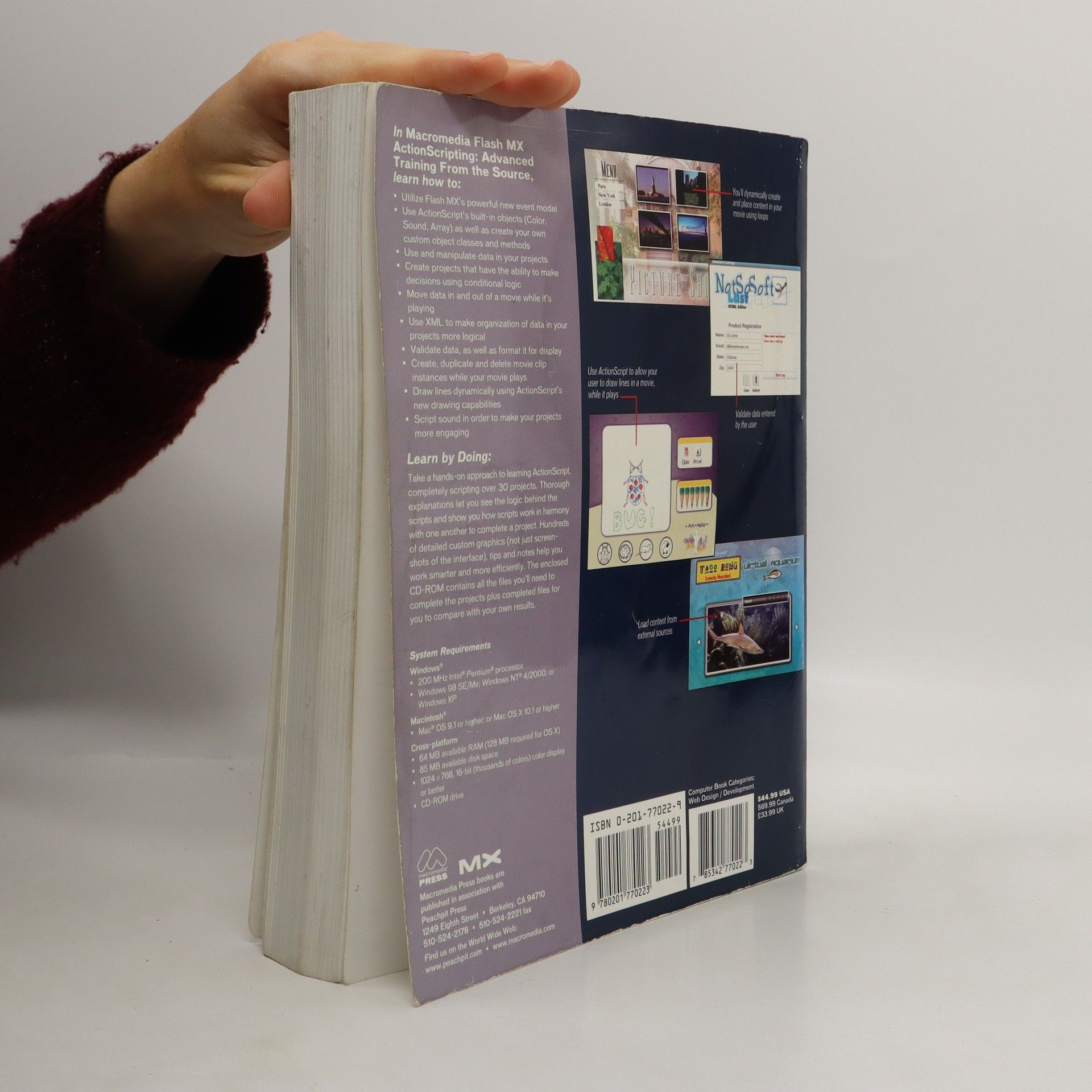 Derek Franklin Macromedia Flash MX Actionscripting