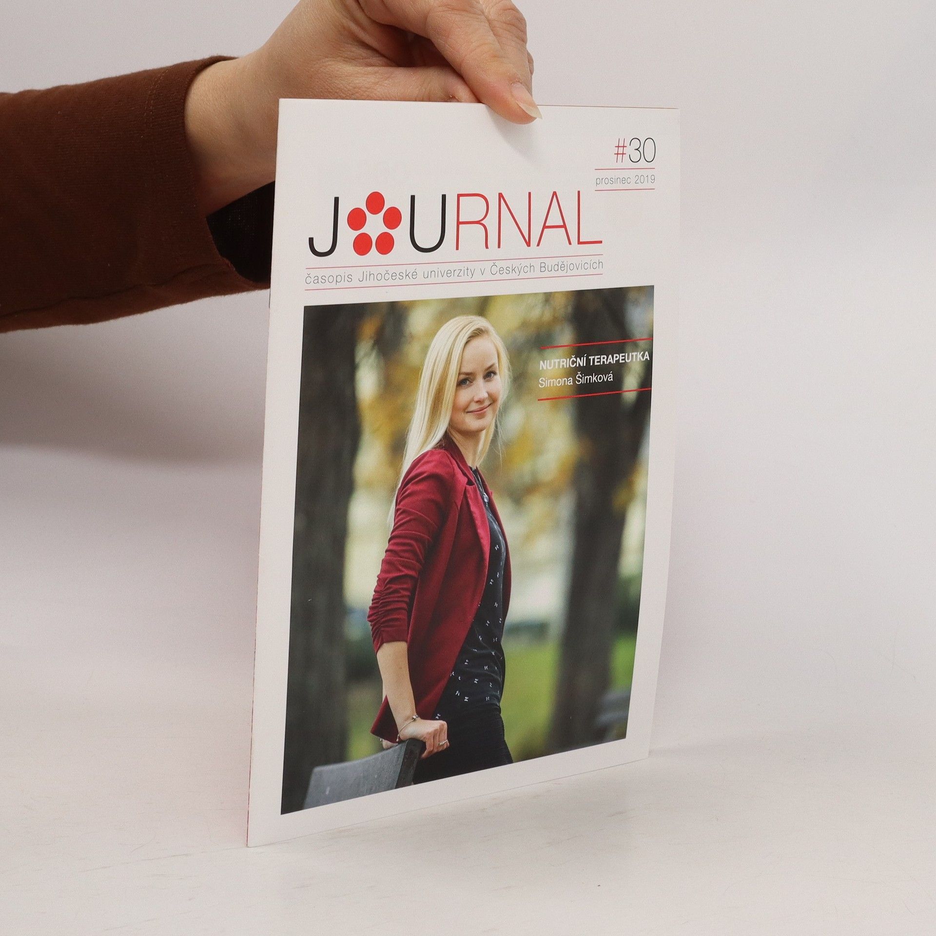 kolektiv Journal 30/2019