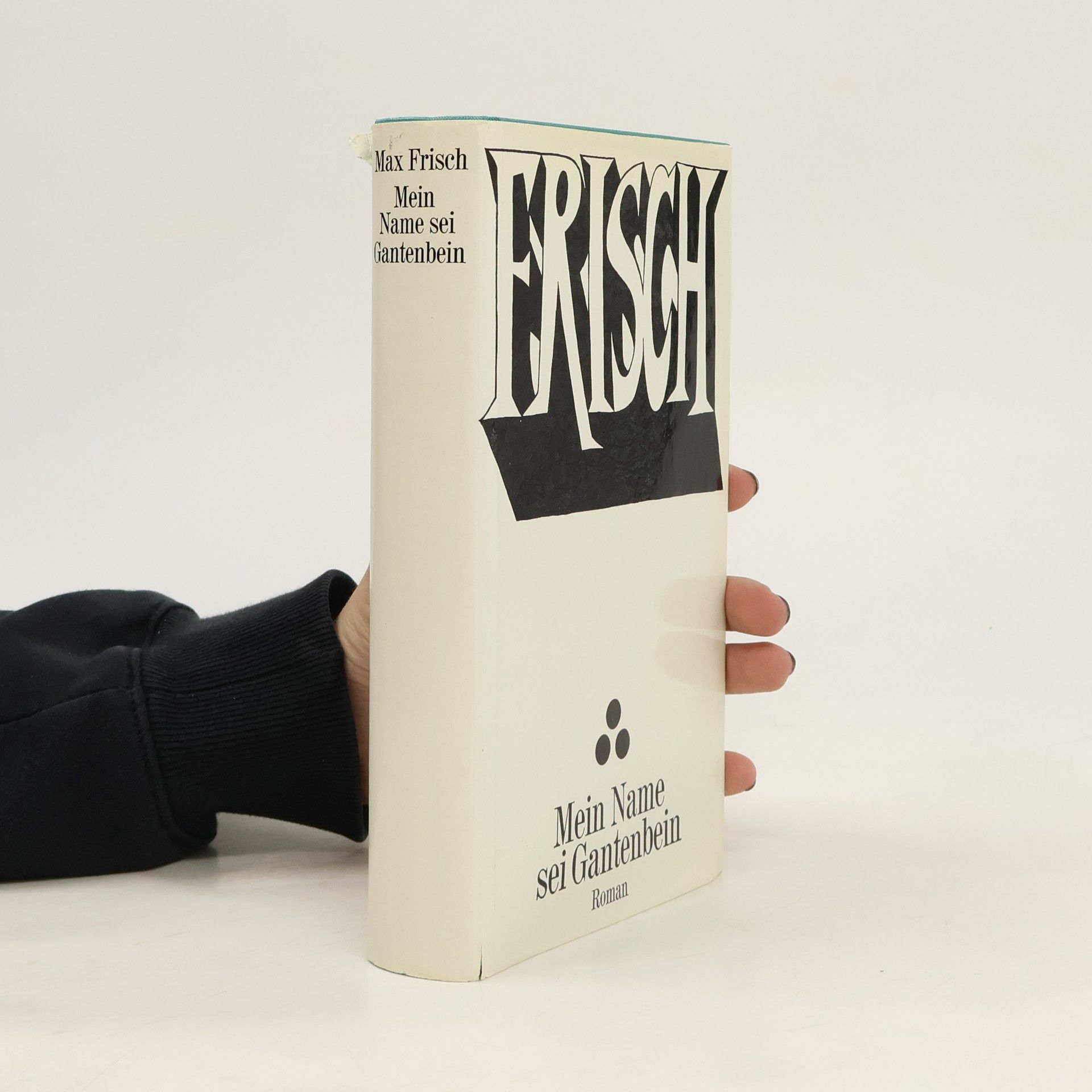 Max Frisch Mein Name sei Gantenbein