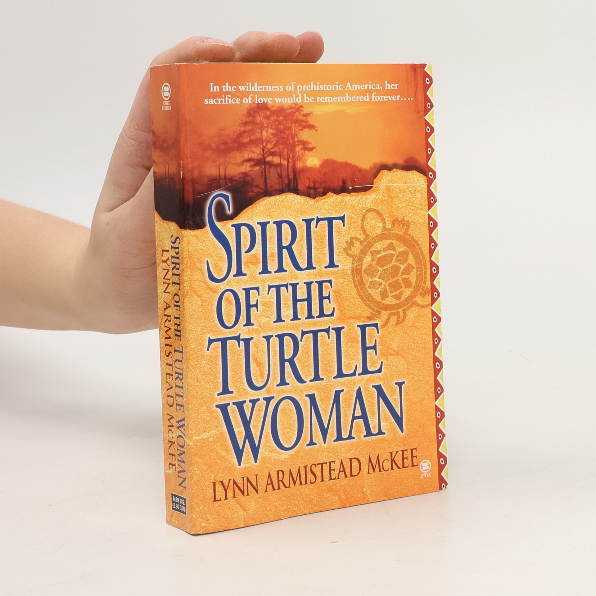 Lynn Armistead McKee Spirit of the Turtle Woman
