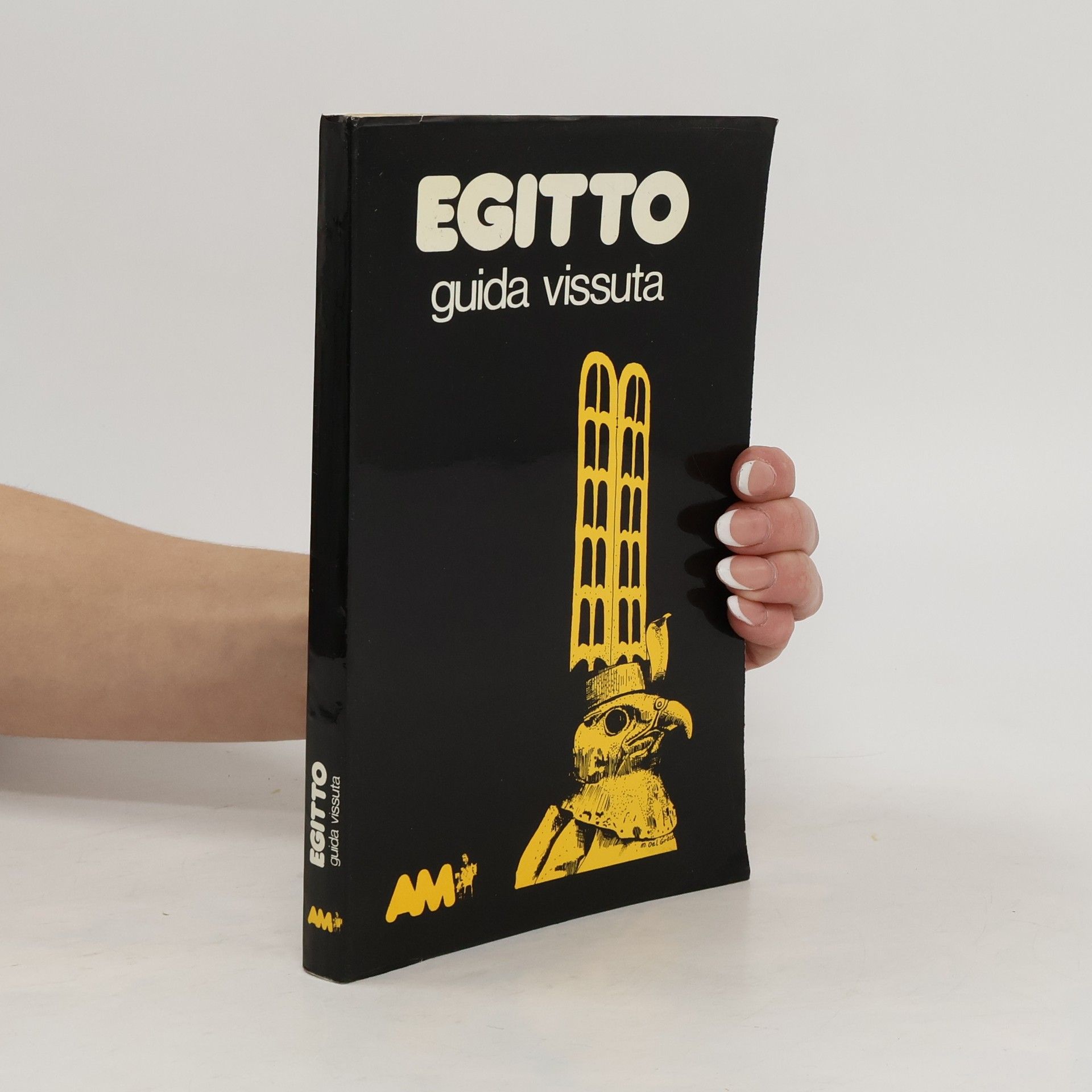 AA.VV. Egitto guida vissuta