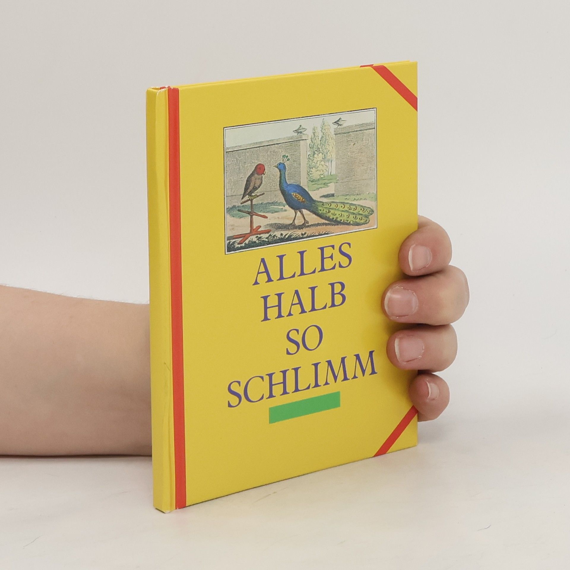 Autorenkollektiv Alles halb so schlimm