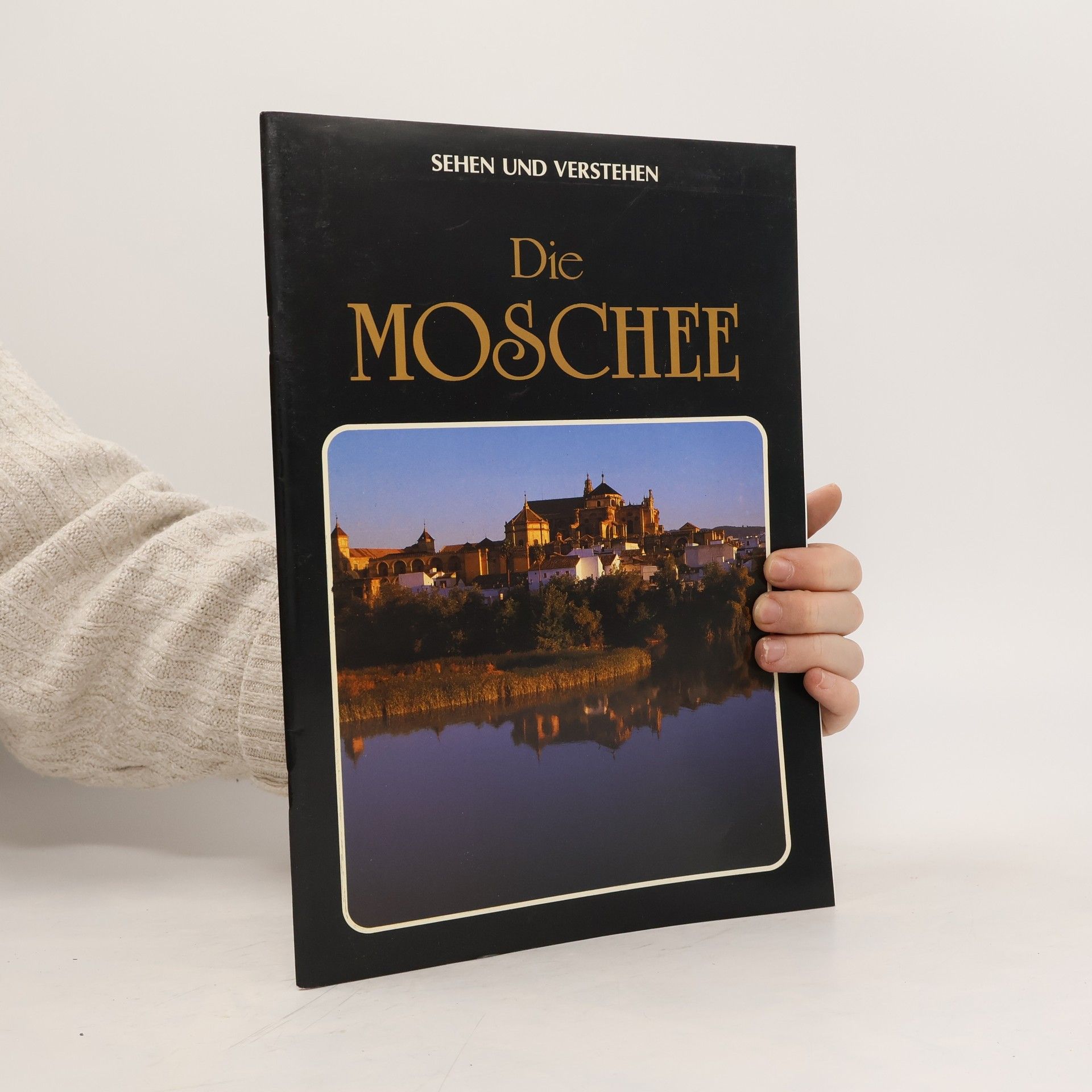 Autorenkollektiv Die Moschee. Sehen und verstehen