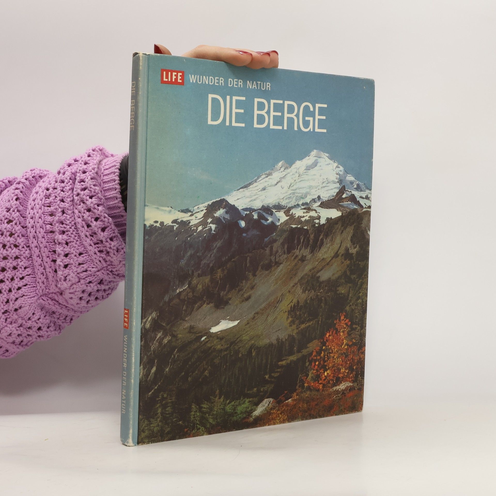 AA.VV. Die Berge
