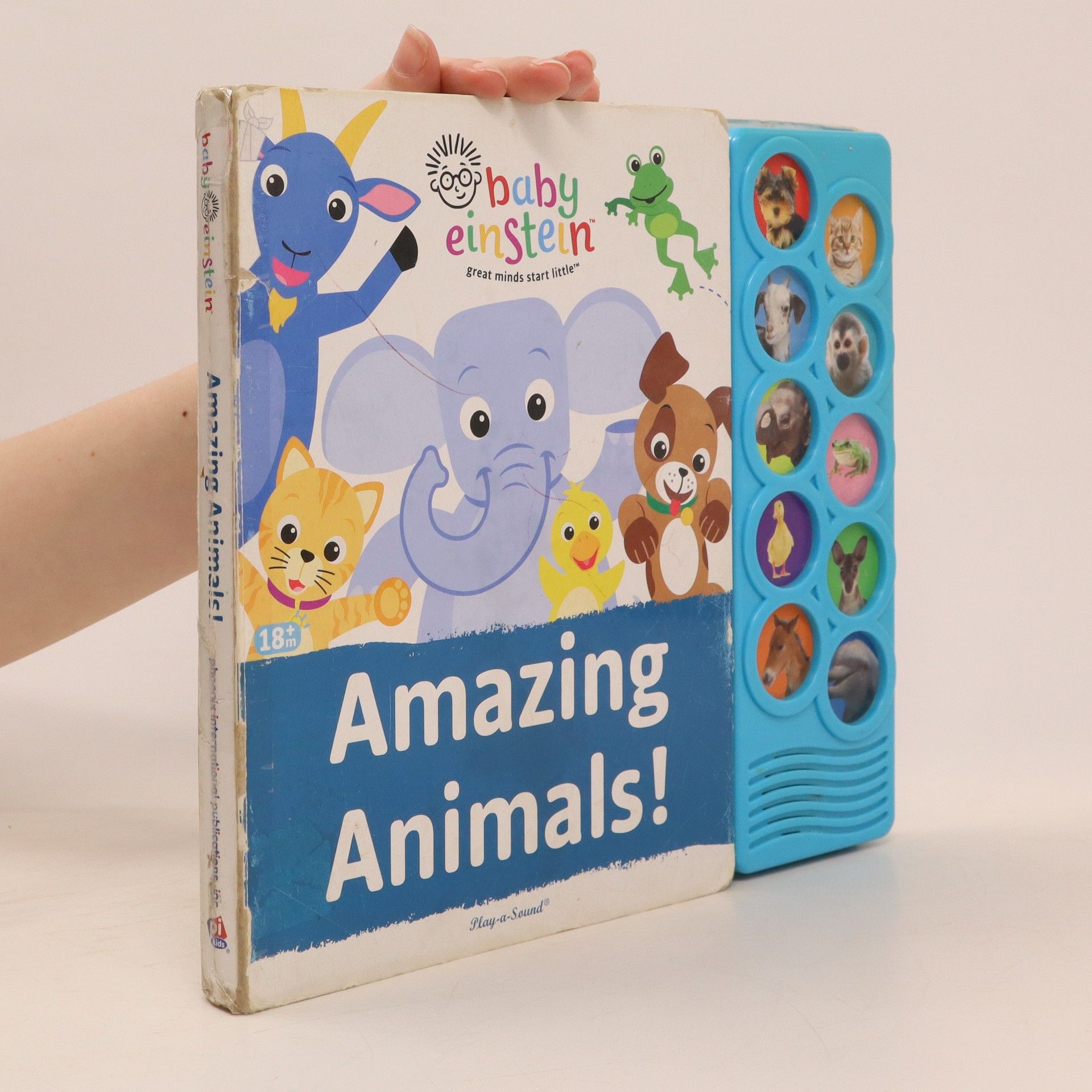 Kolektiv autorů Amazing Animals