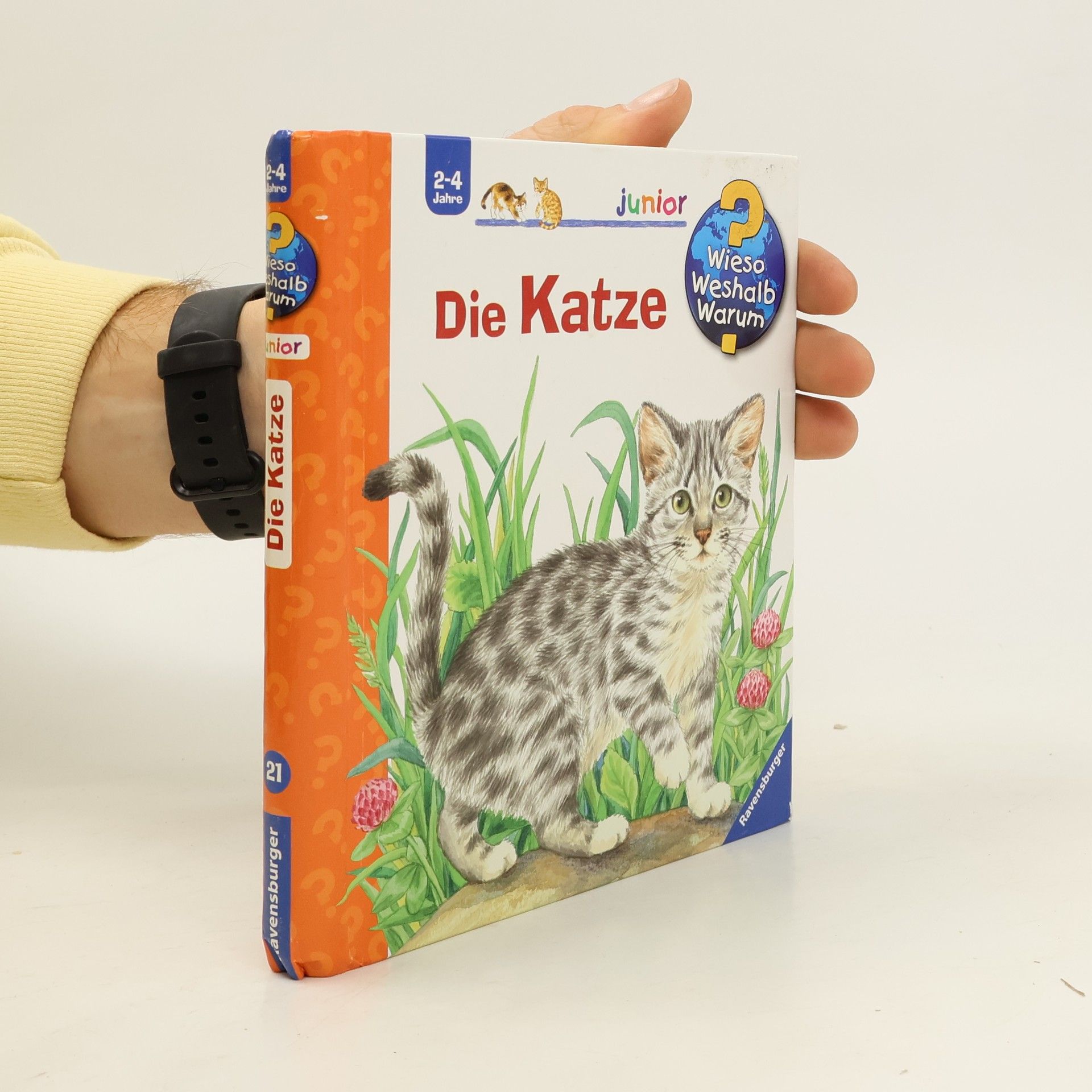 Ursula Weller Die Katze