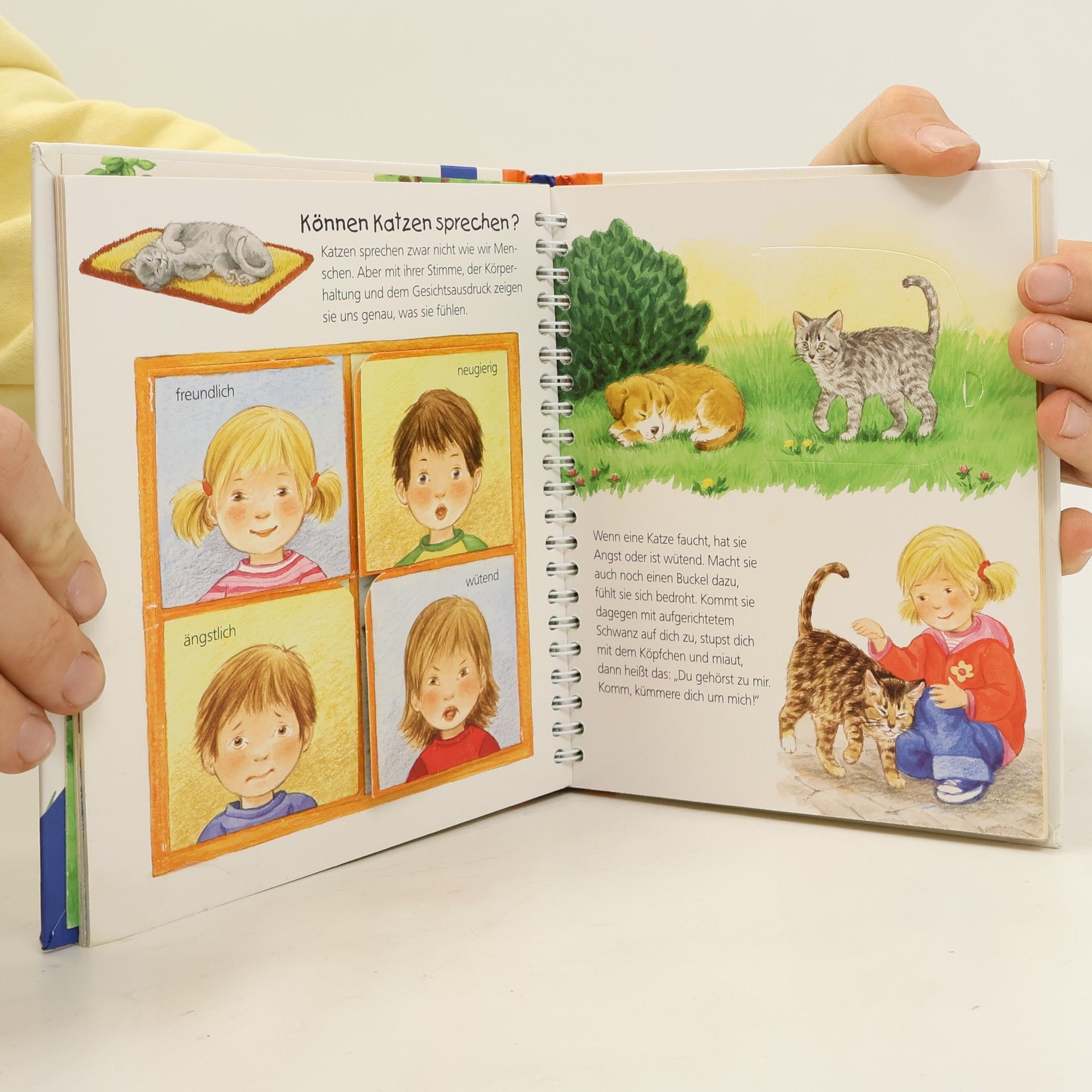 Ursula Weller Die Katze