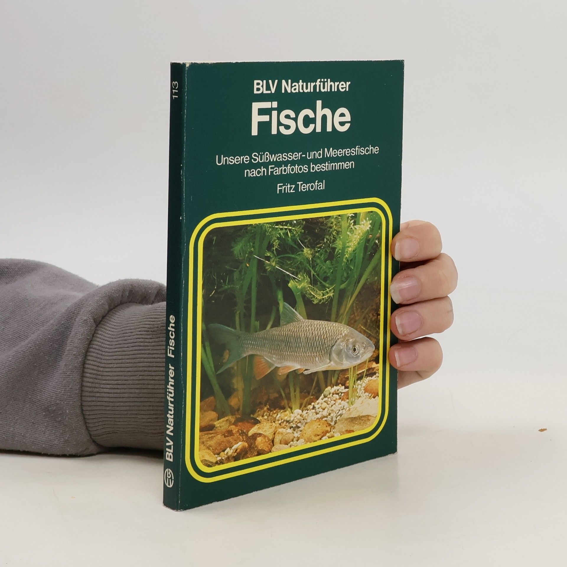 Frieder Sauer Fische