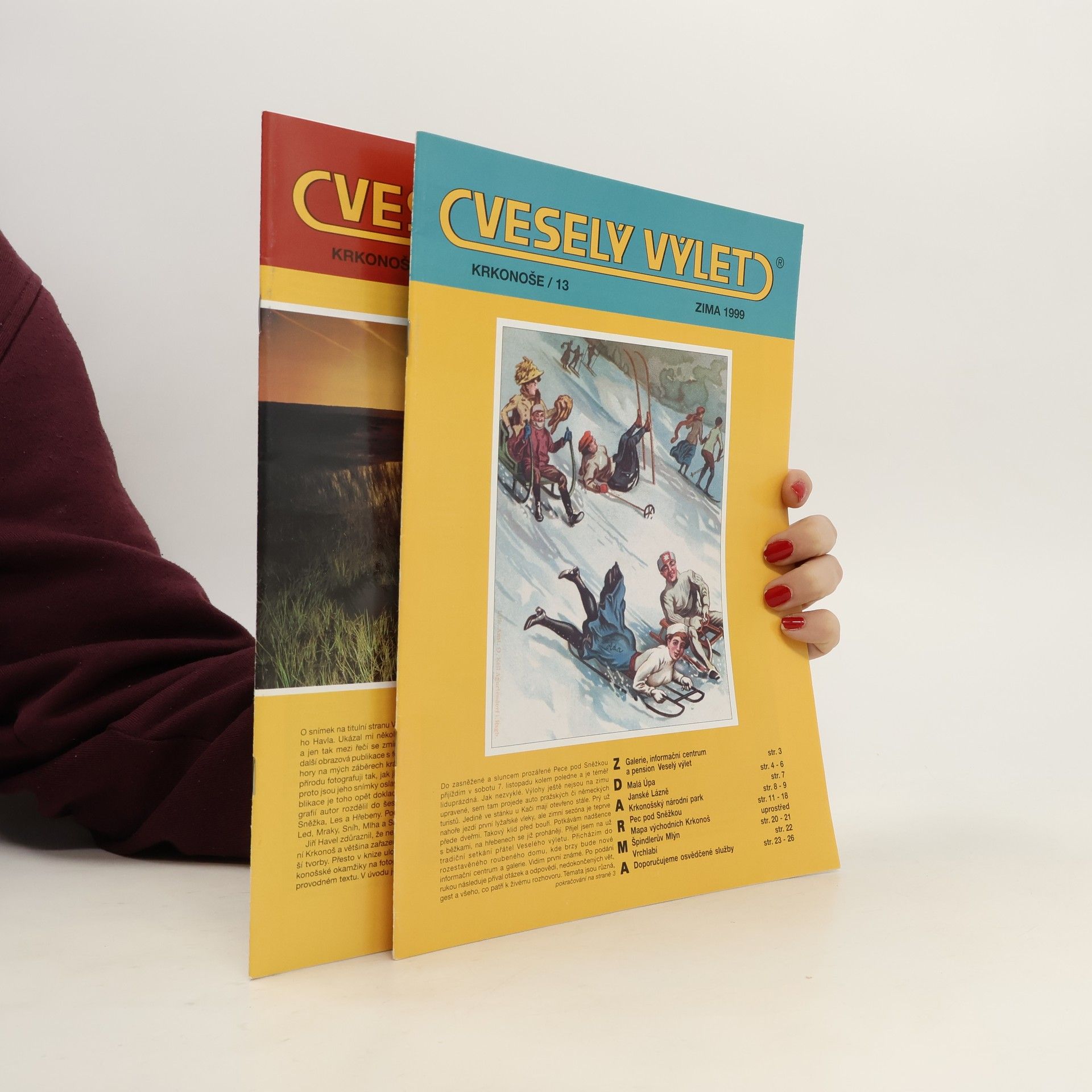 Autorenkollektiv Veselý výlet, léto+zima 1999